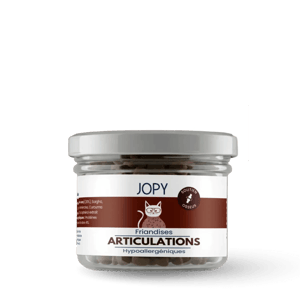 Friandises pour Chat