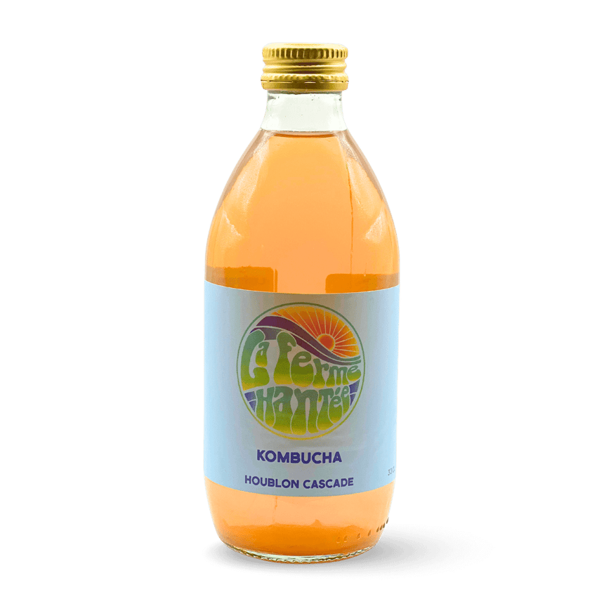 Kombucha Houblon Cascade