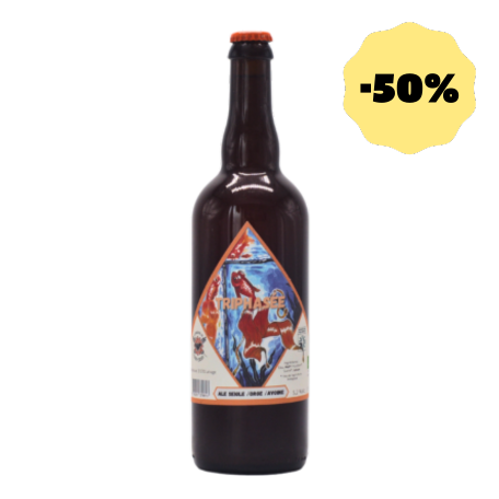 Triphasée DDM 30/10/2023 -50%