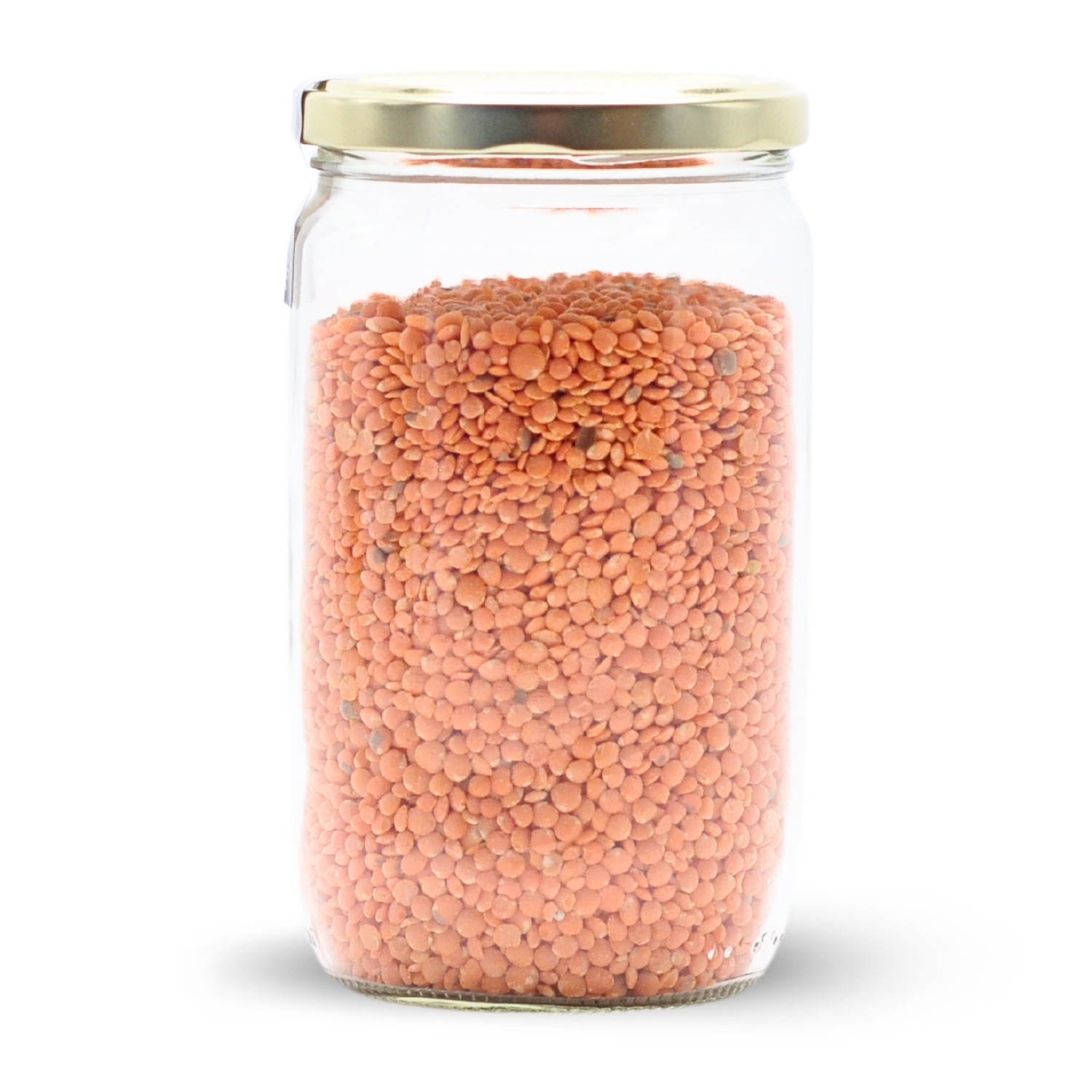 Lentilles corail