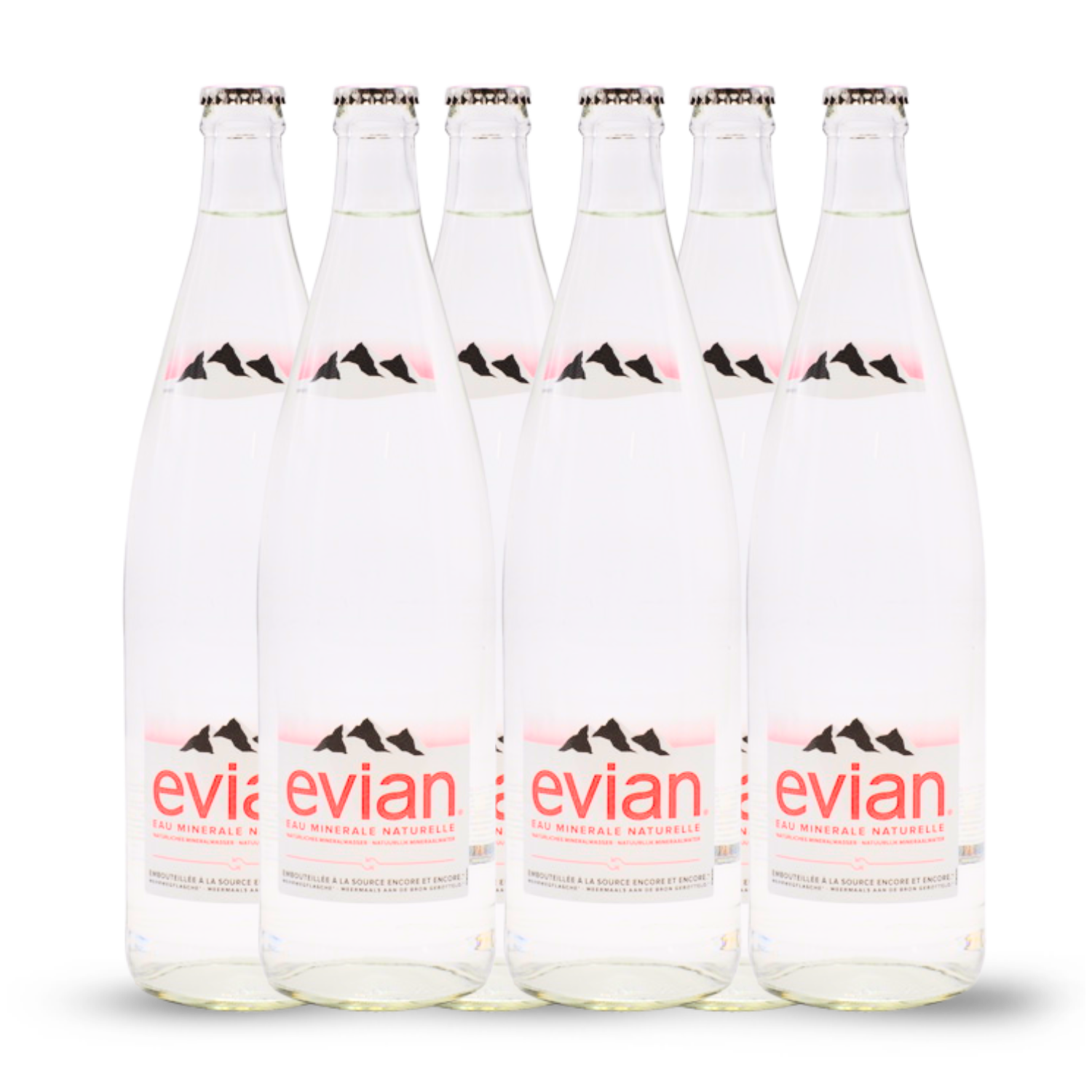 Evian Eau plate 12x1L