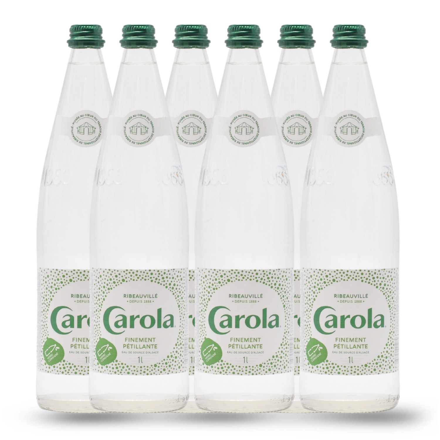 Carola finement pétillante