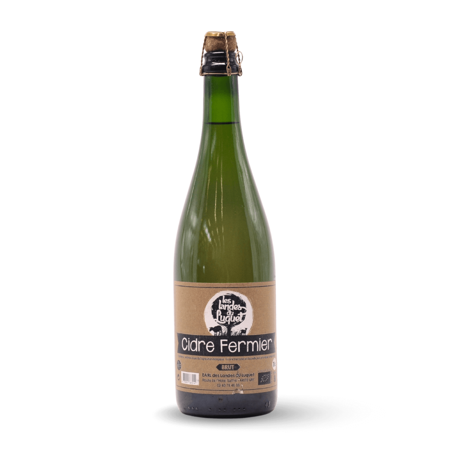 Cidre brut
