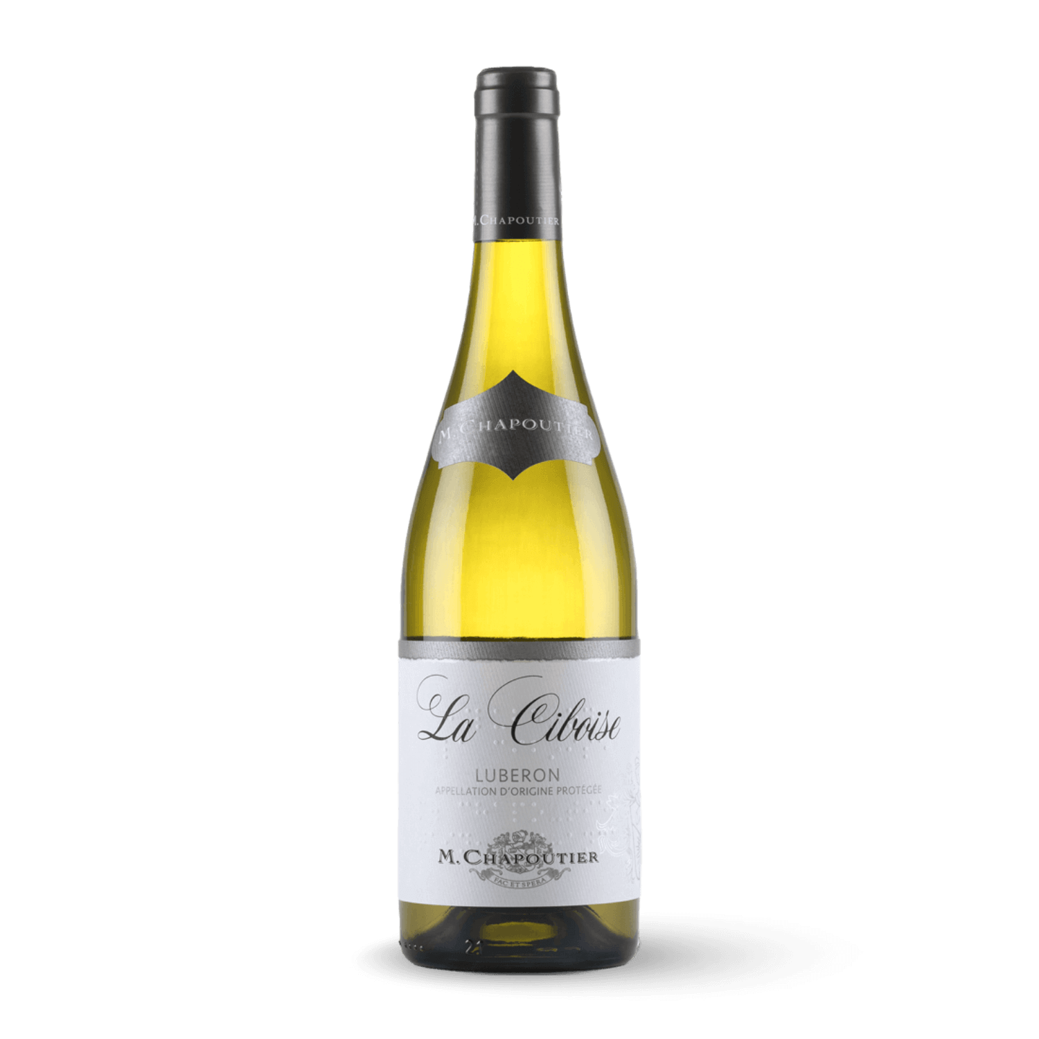 Ciboise Blanc