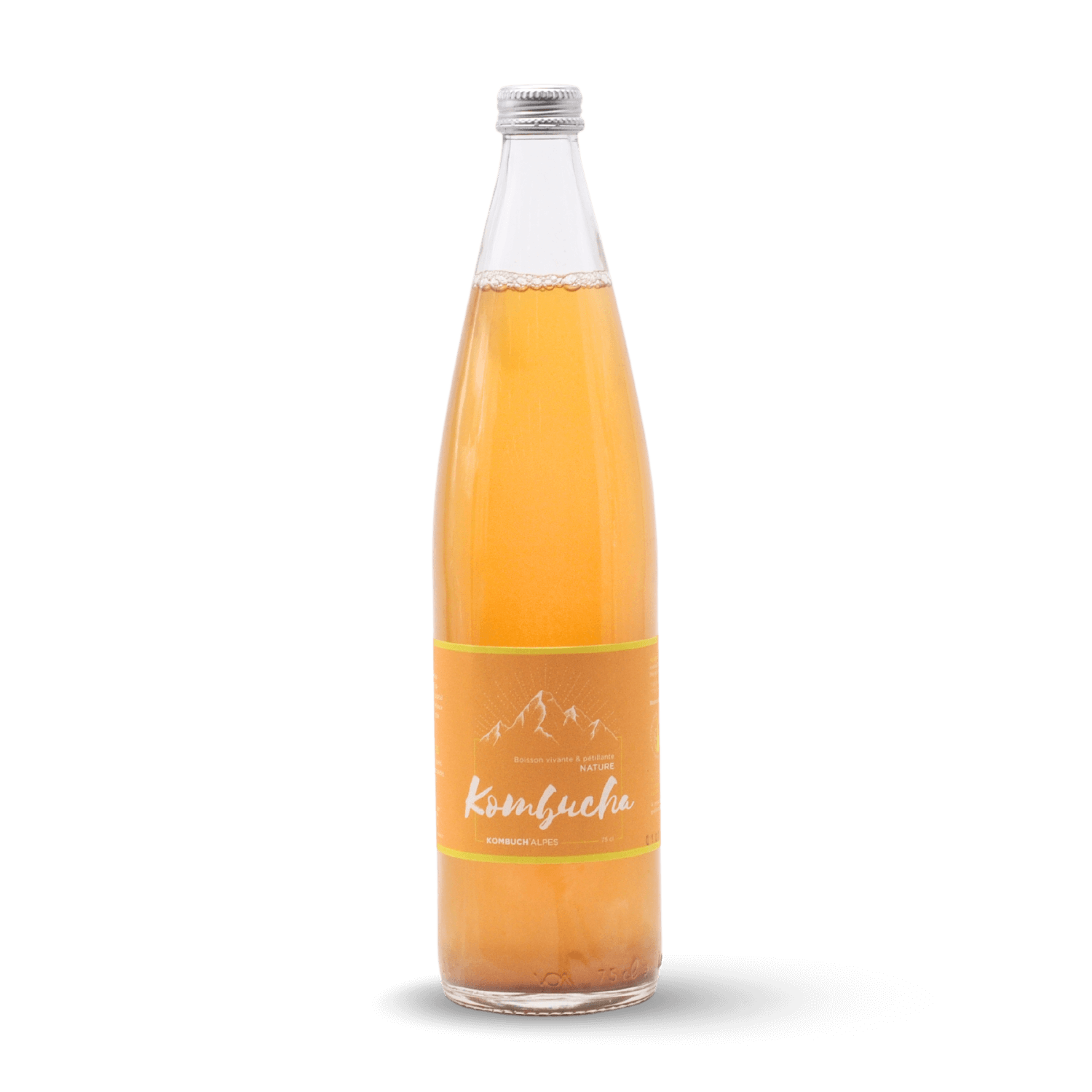 Kombucha Original Bio