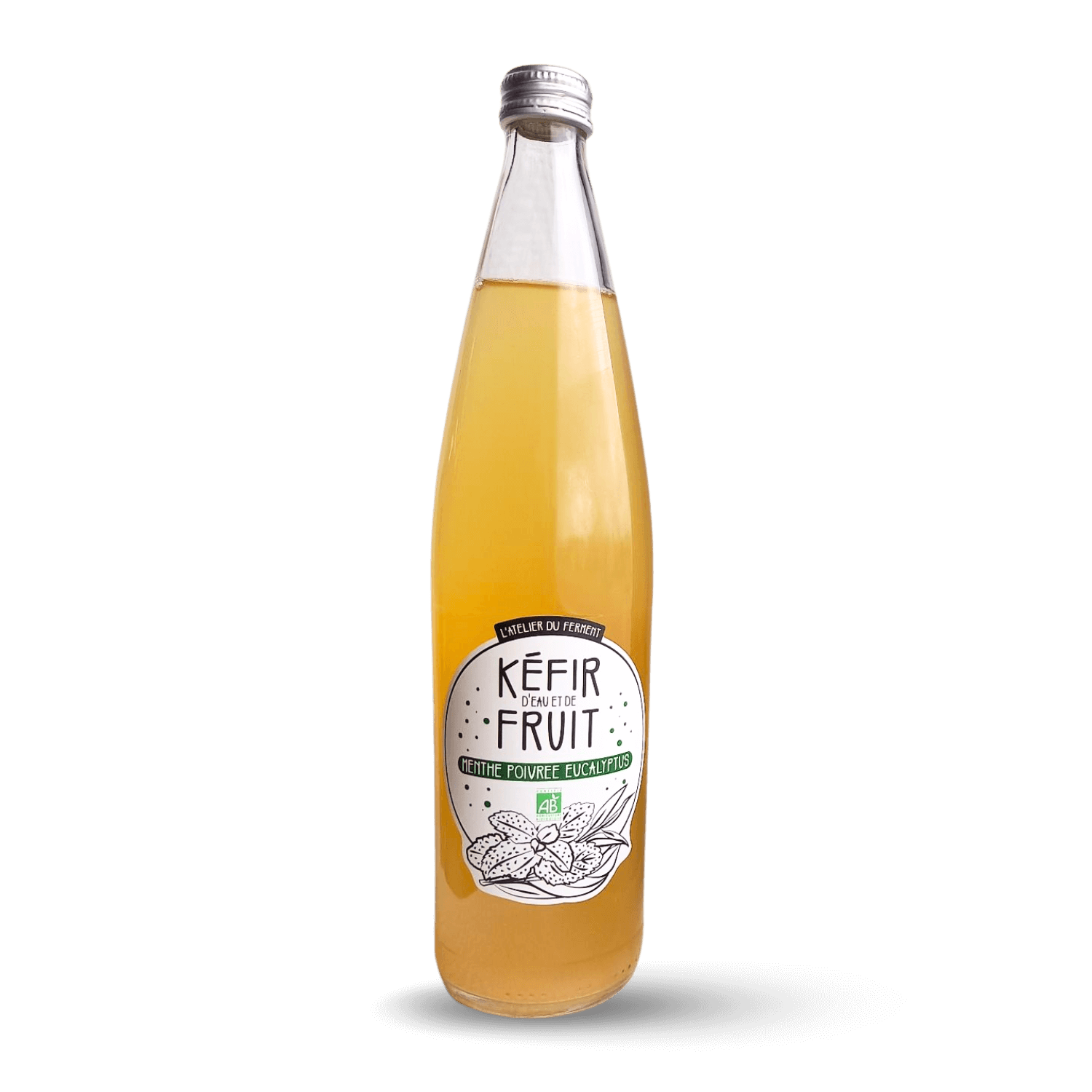 Kéfir de fruits menthe poivrée et Eucalyptus