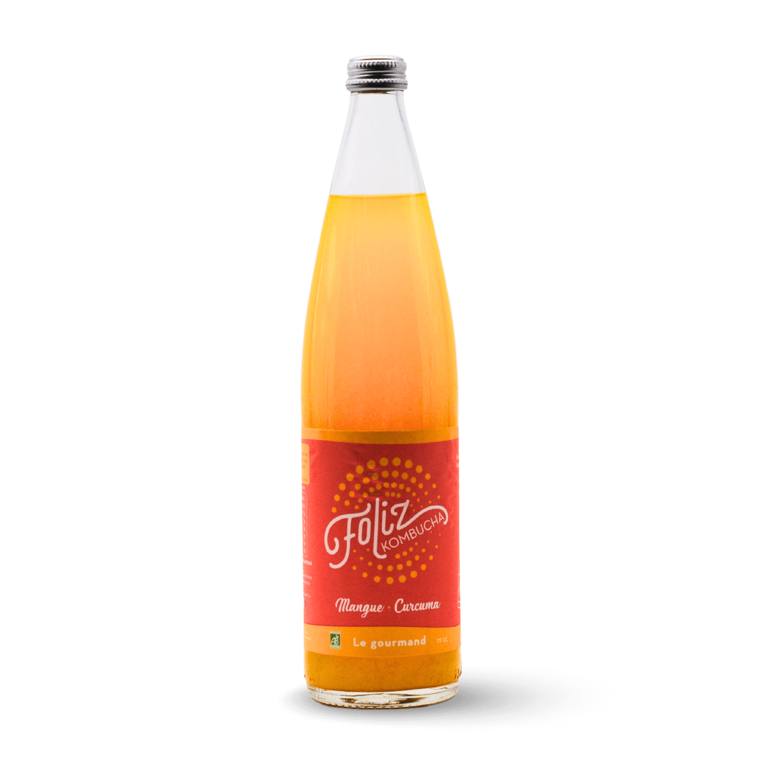 Foliz Kombucha Mangue & Curcuma
