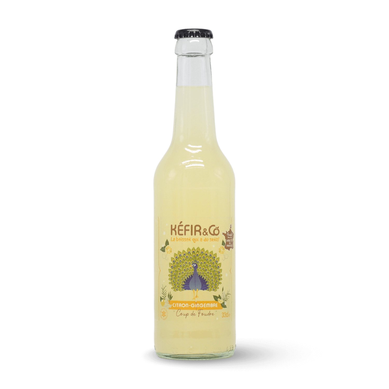 Kéfir de fruits Citron Gingembre