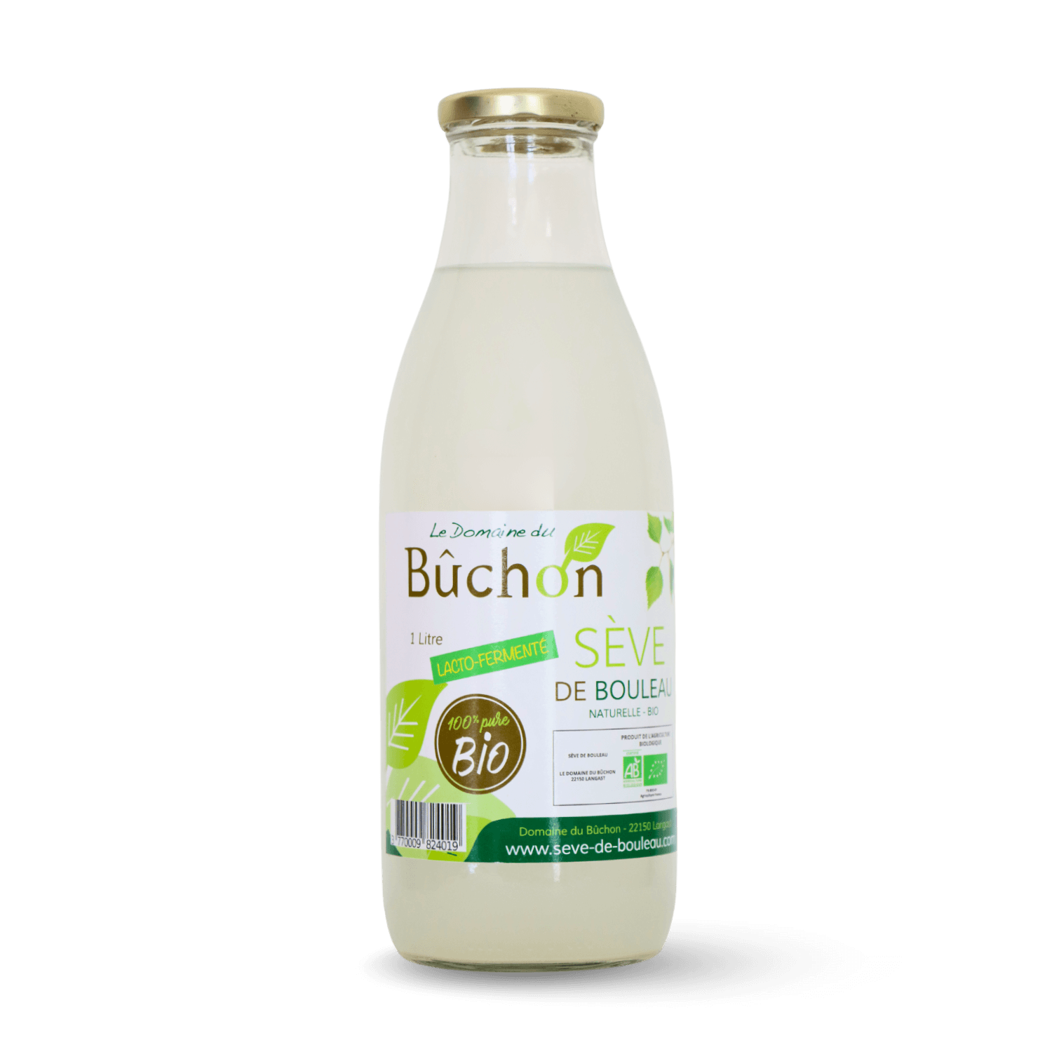 Sève de Bouleau