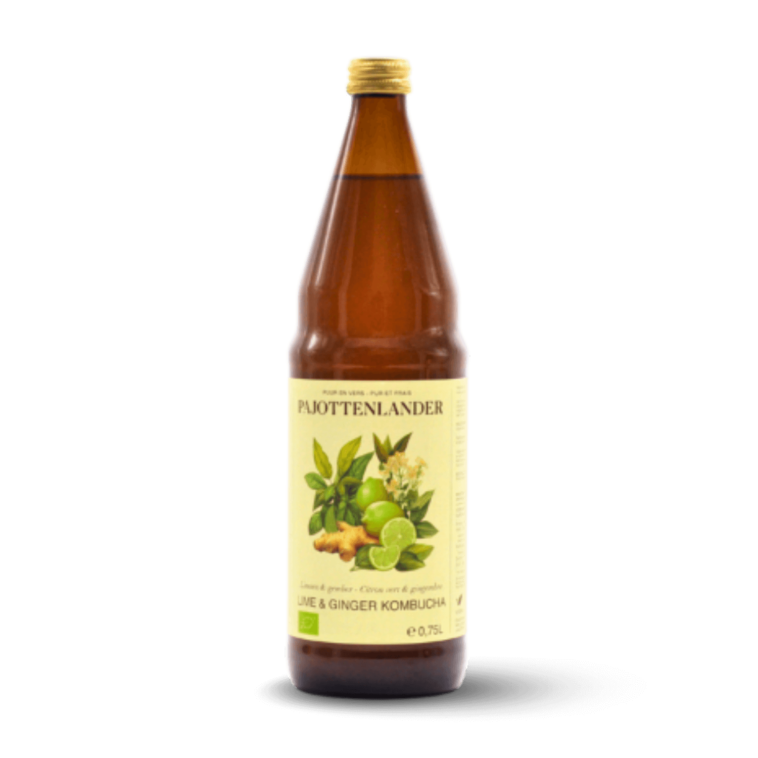 Kombucha Citron et Gingembre