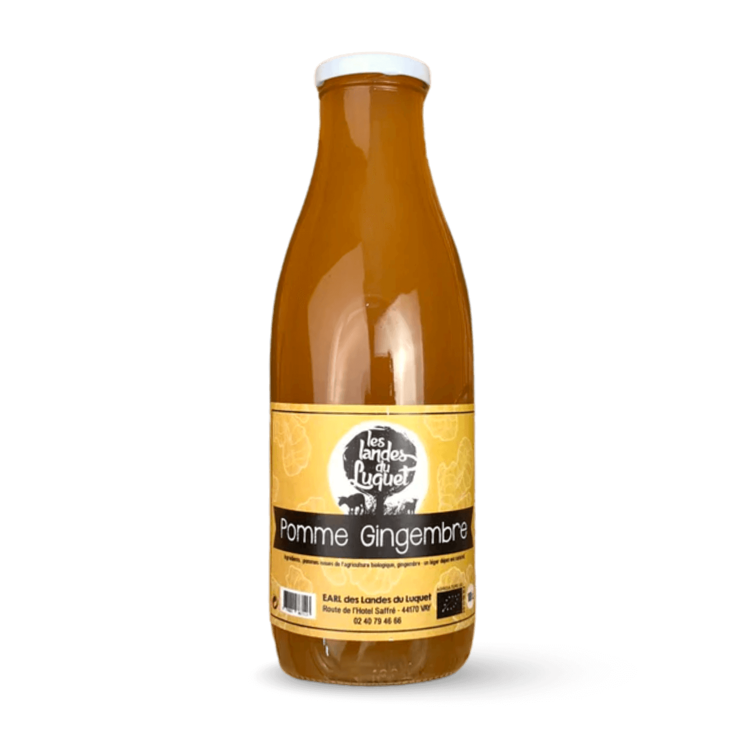 Jus de Pomme Gingembre