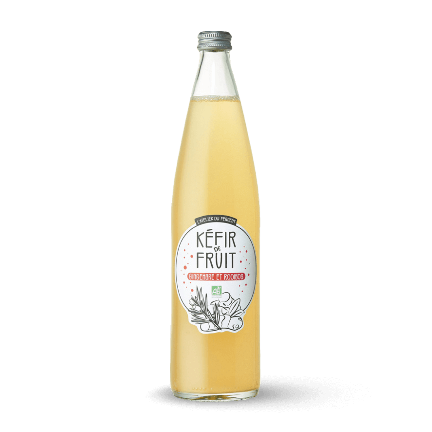 Kéfir dr fuits Gingembre & Rooibos