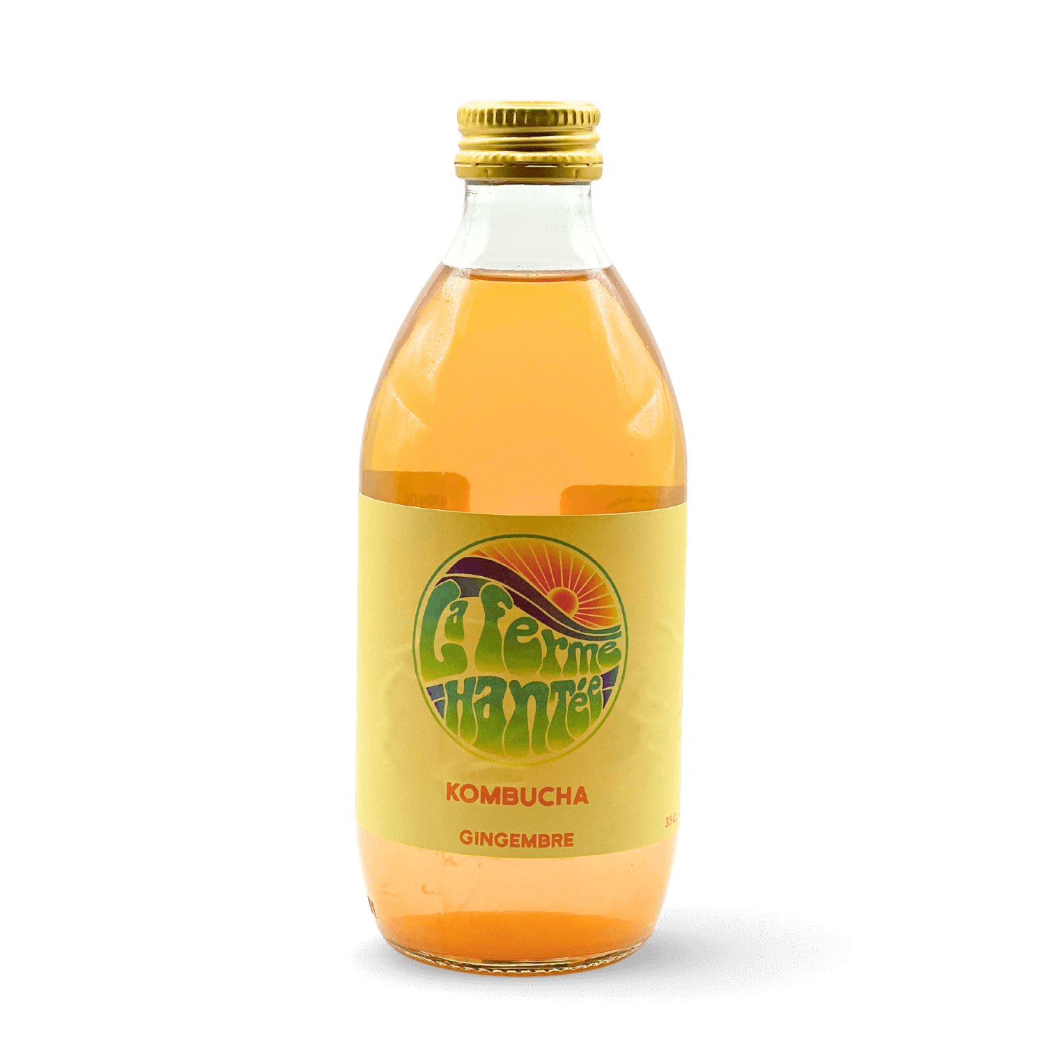 Kombucha Gingembre