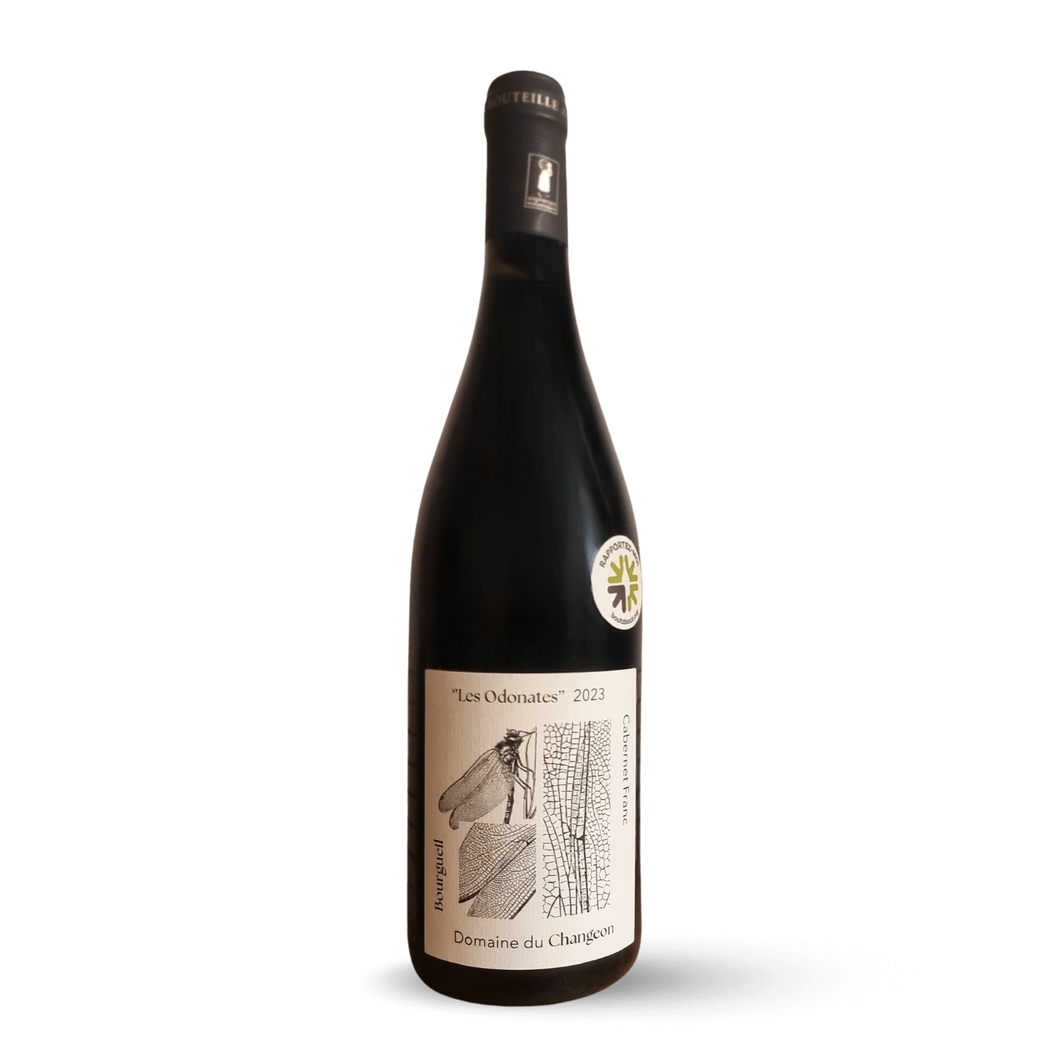 Les Odonates Bourgueil