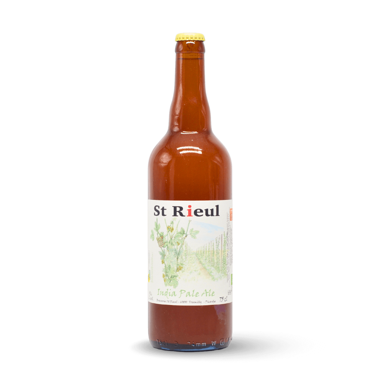 St Rieul Ipa