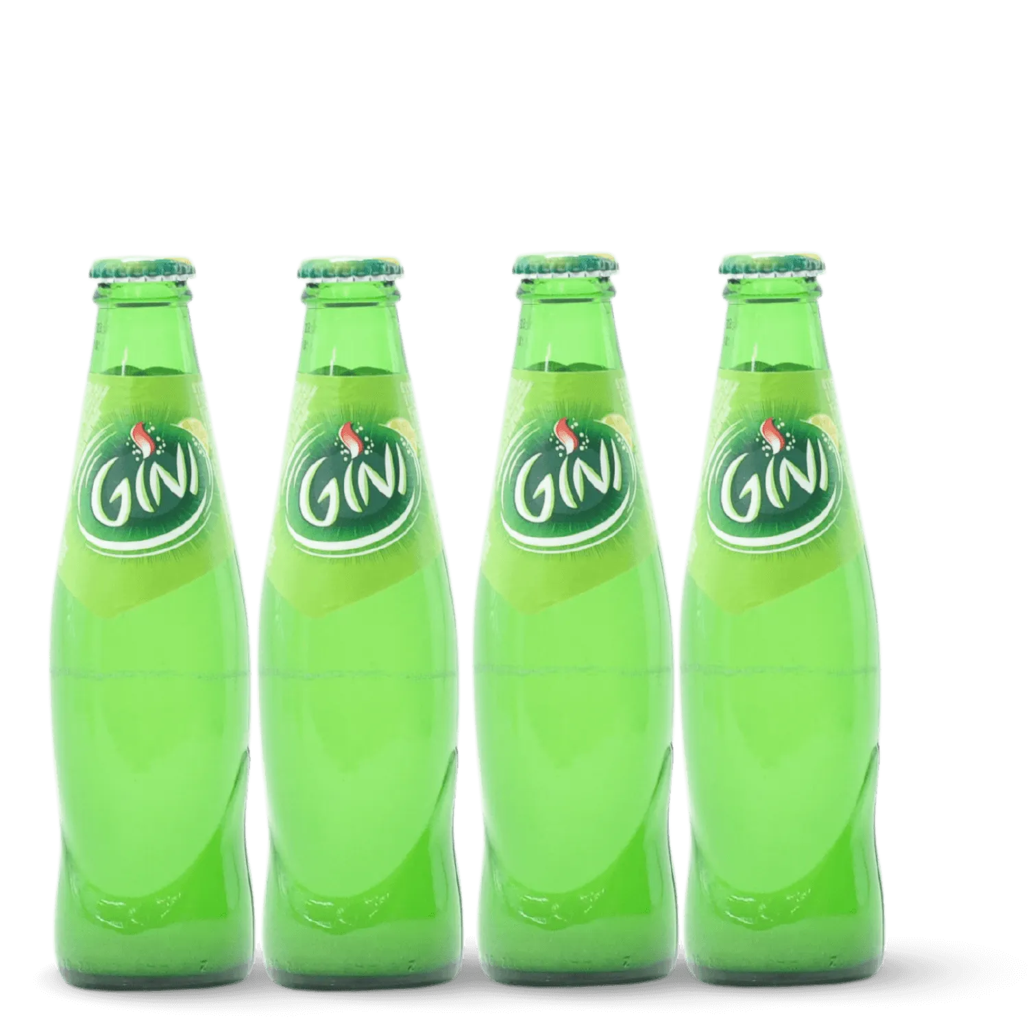 Gini x4