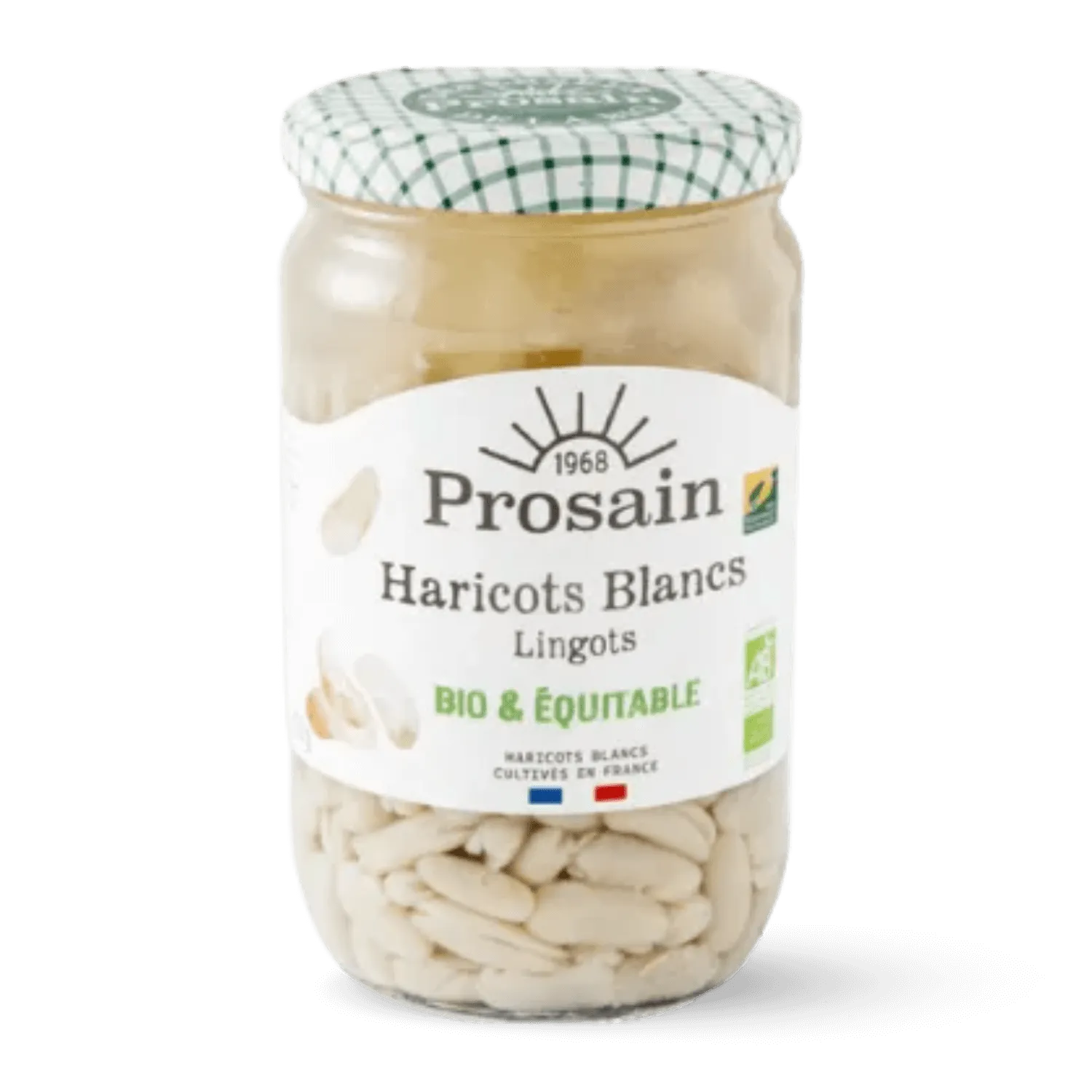 Haricots blancs lingots