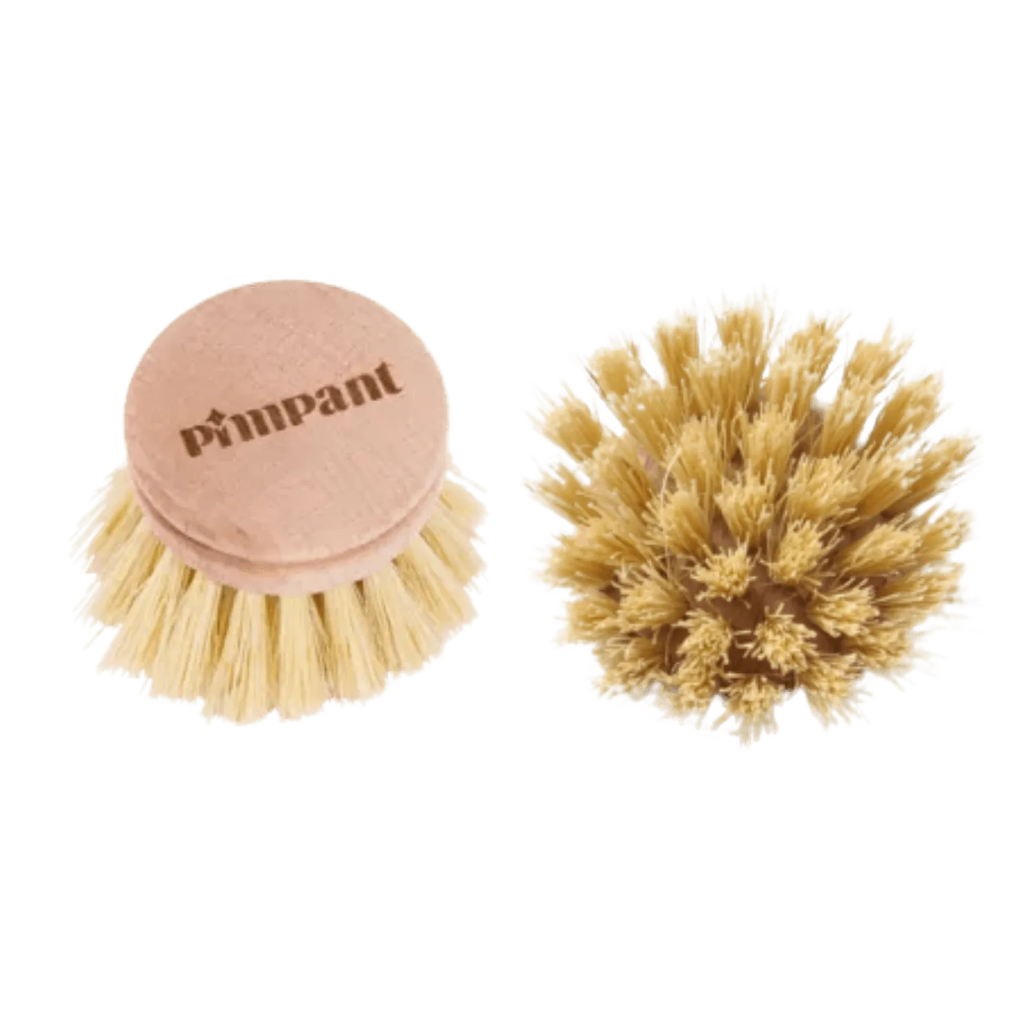 Recharge tête brosse vaisselle