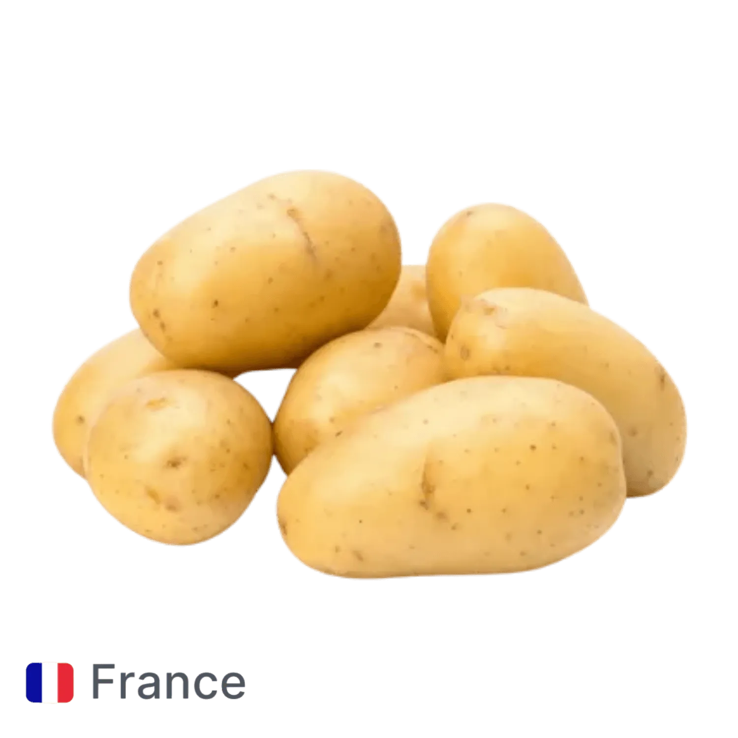 Pomme de terre Agata