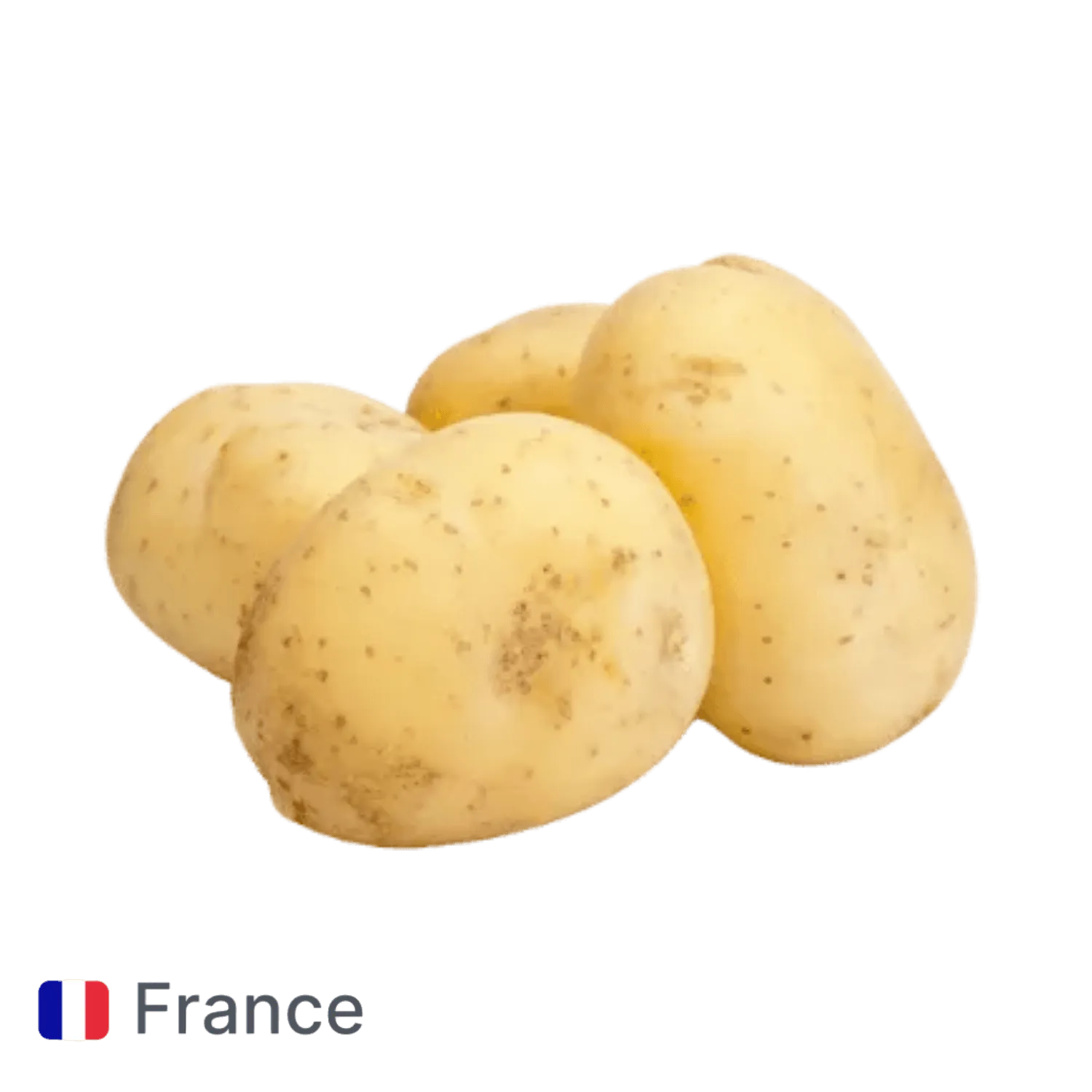 Pomme de terre allians