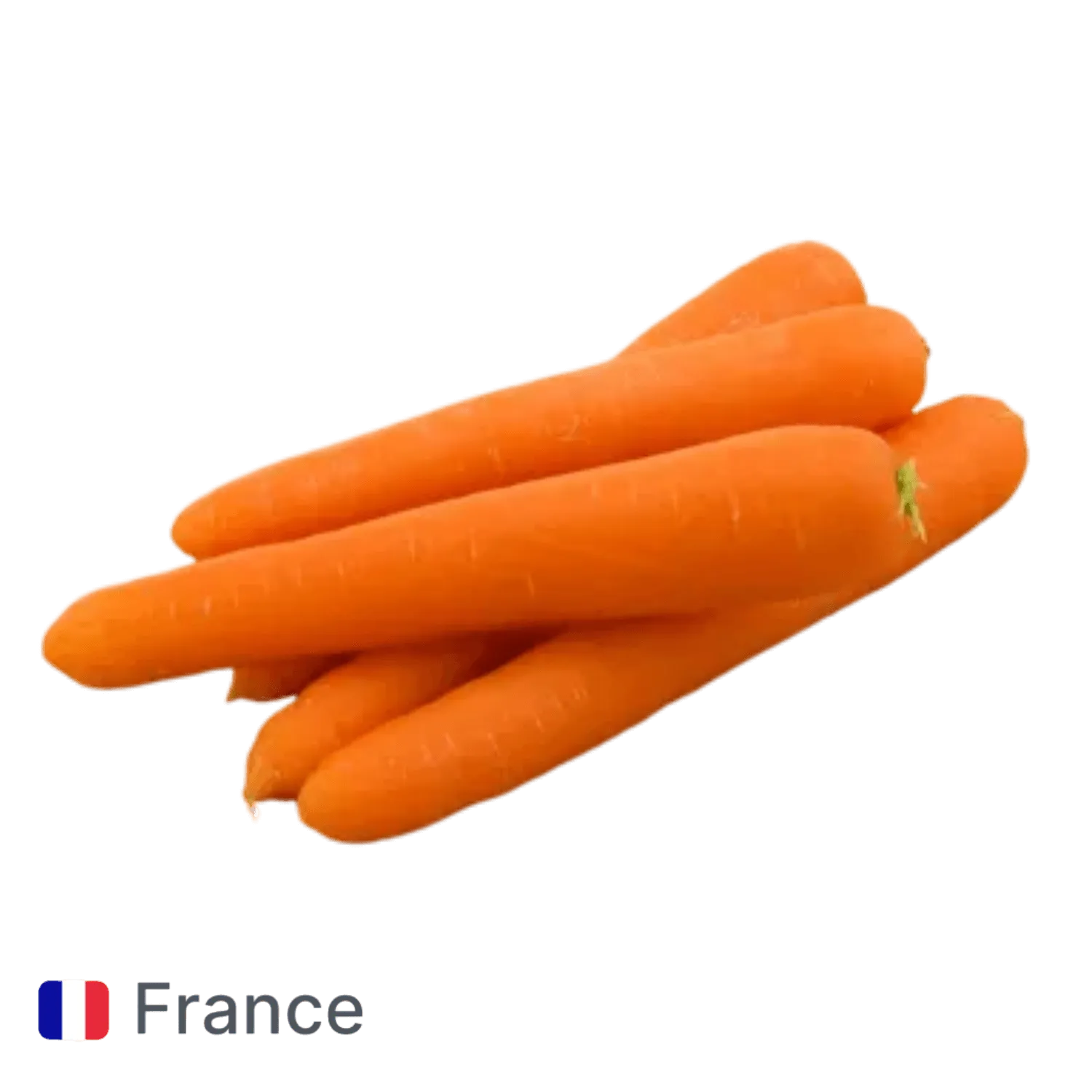 Carottes lavées