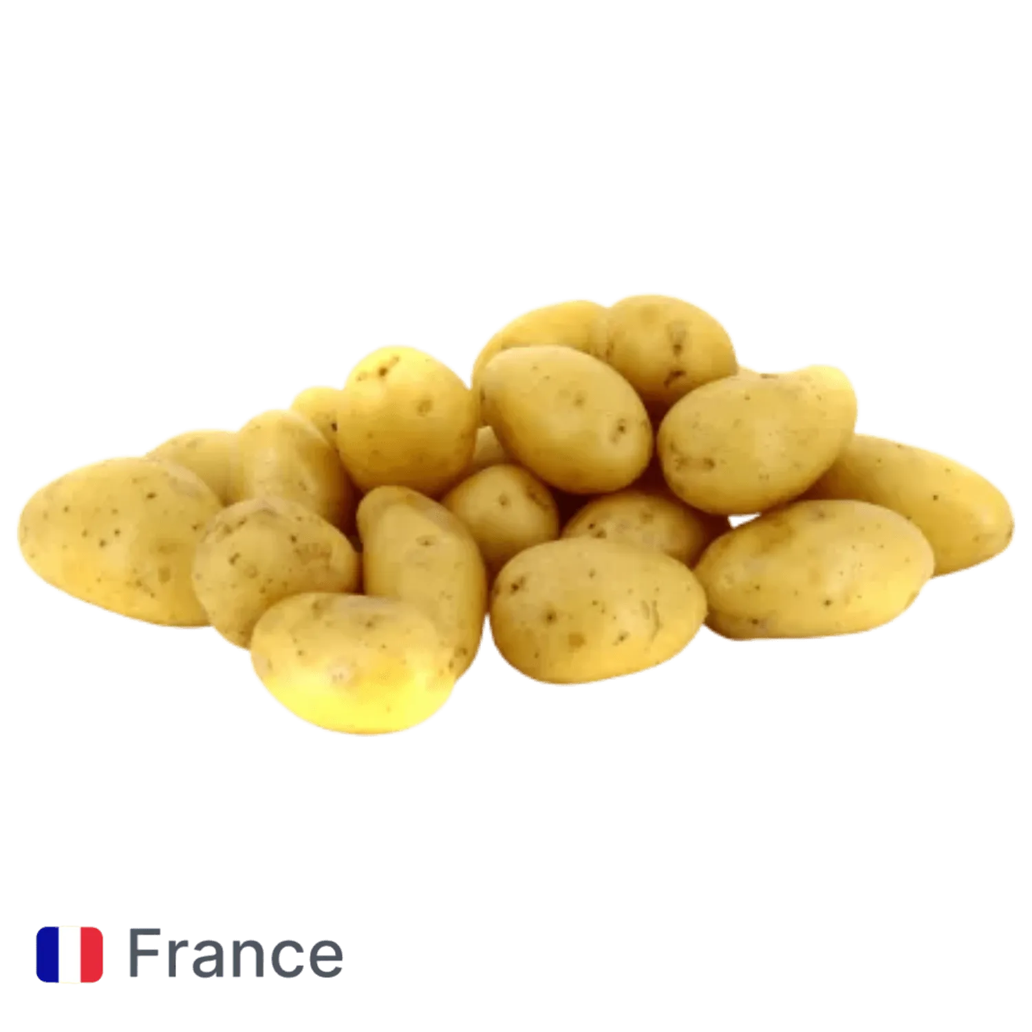 Pomme de terre grenaille
