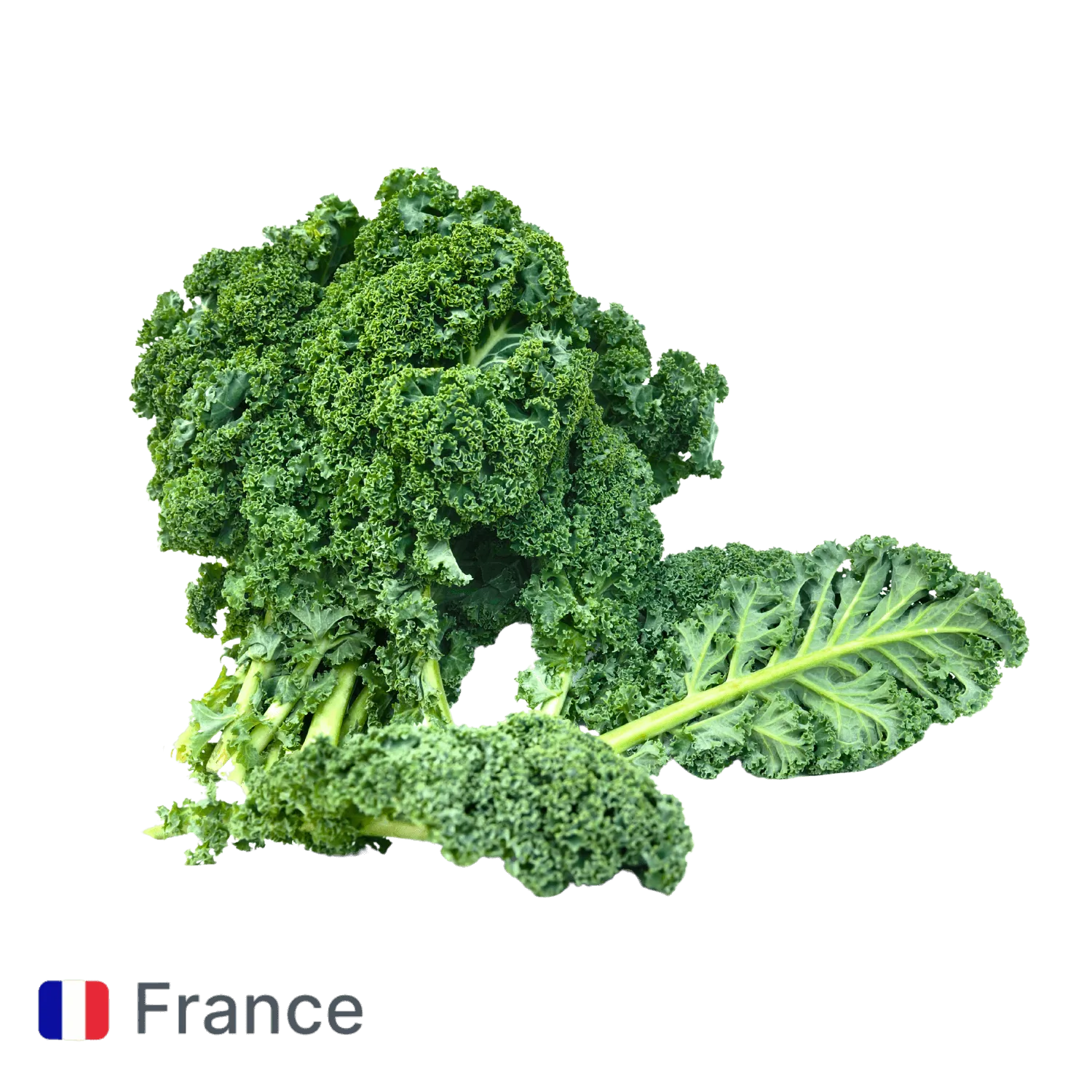 Chou kale