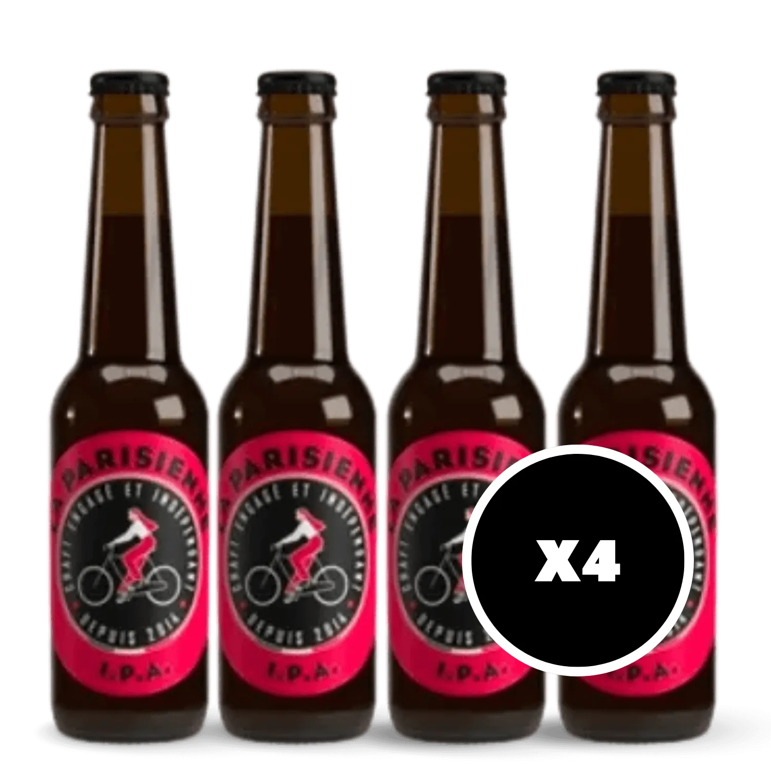 Pack 4 x Bière IPA Bio 5,5%