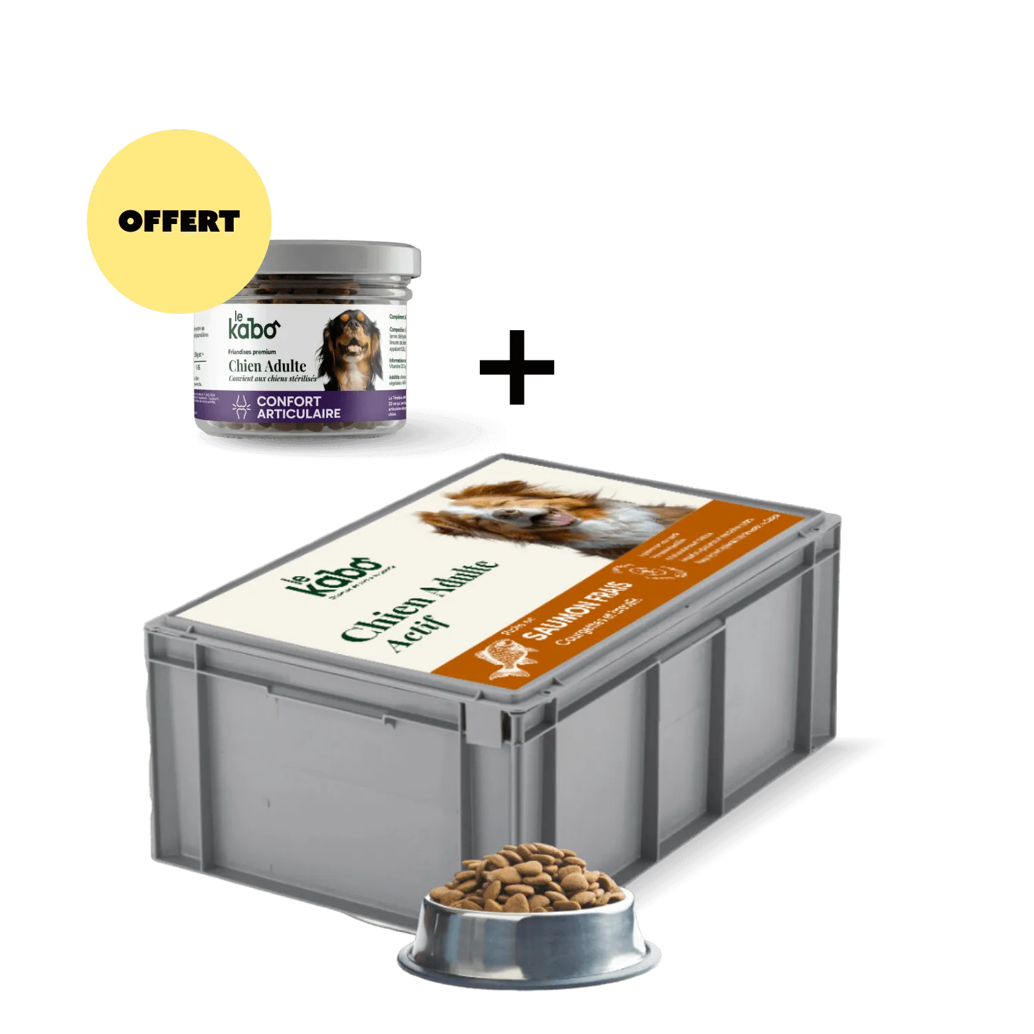 Croquettes pour chien - Saumon + Friandises pour Chien Offertes