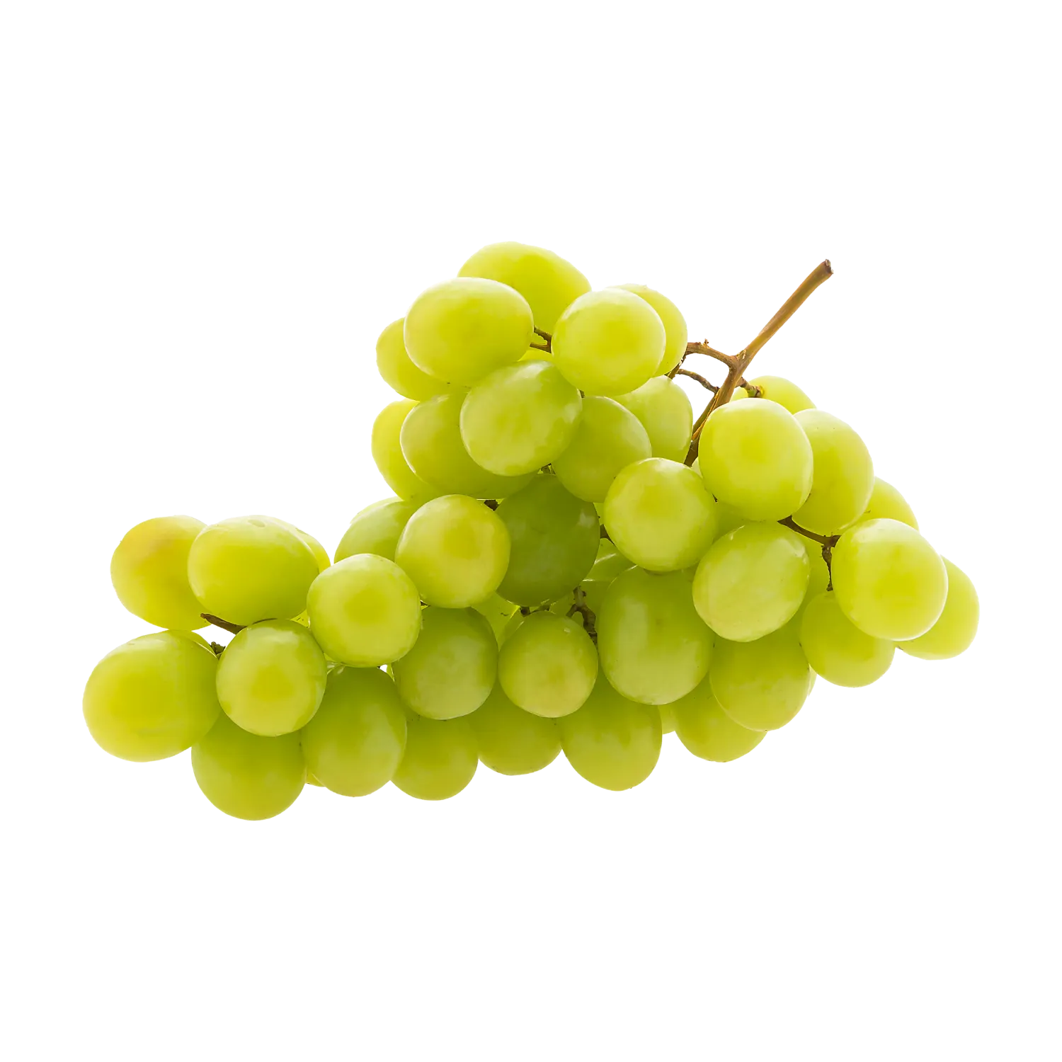 Raisin blanc moissac
