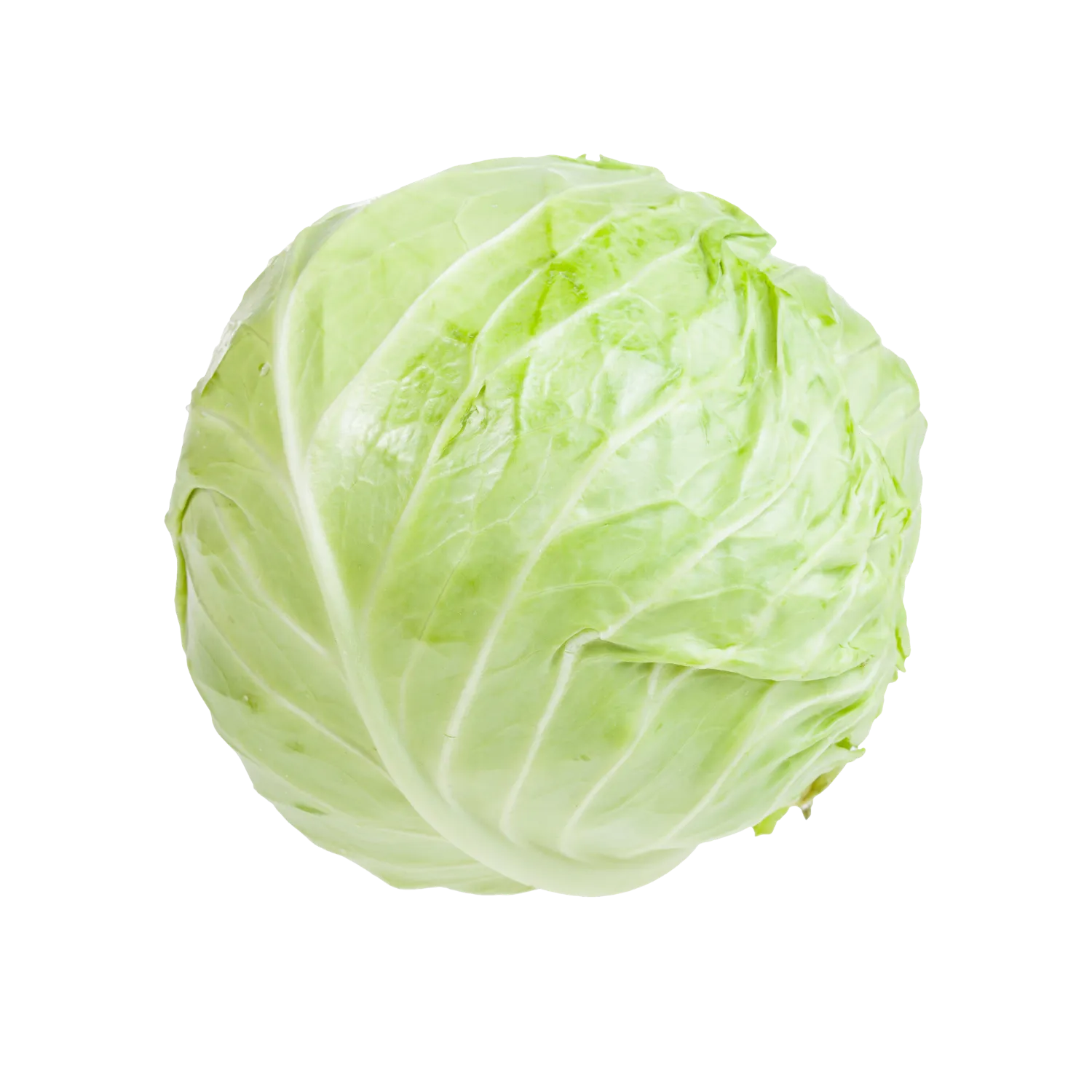 Chou blanc