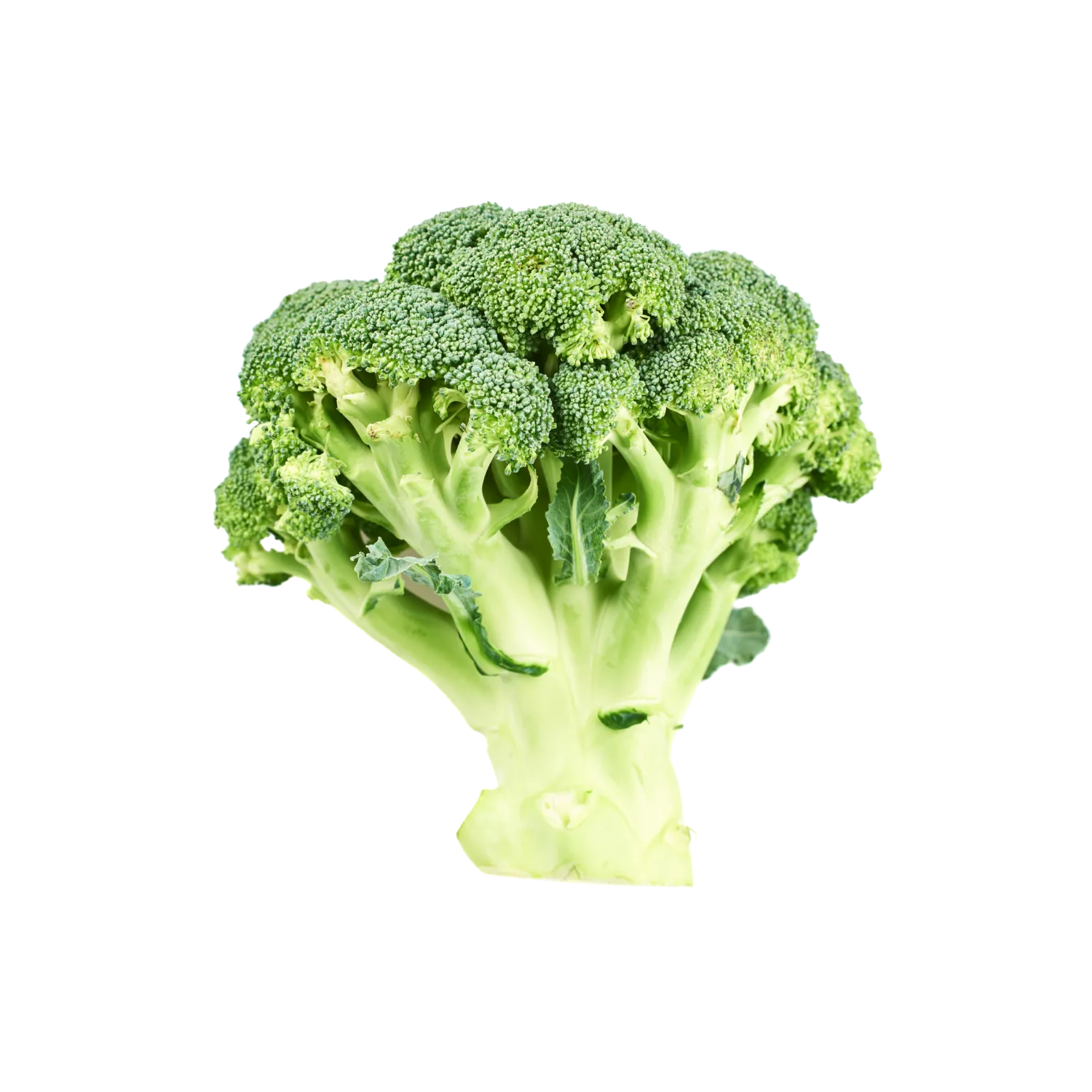 Chou brocoli