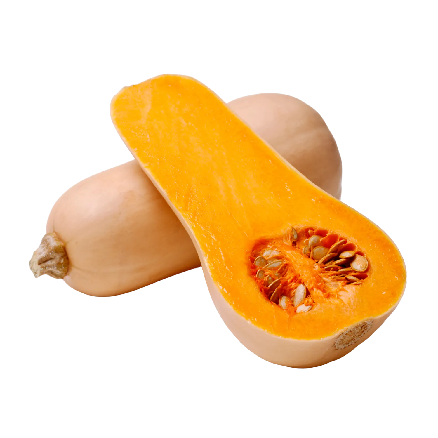 Butternut