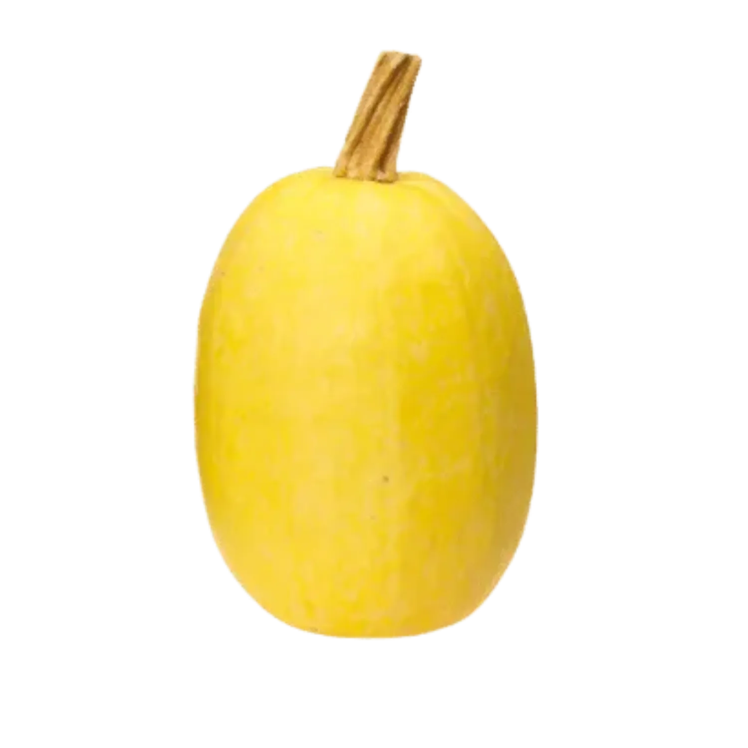 Courge spaghetti