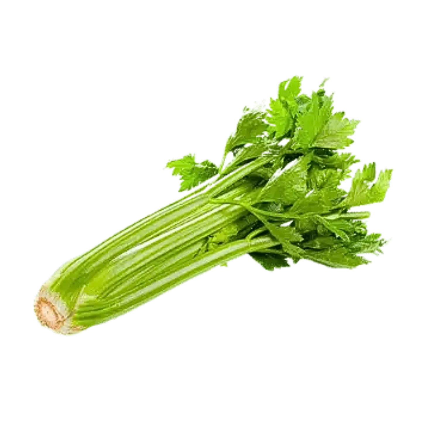 Céleri branche
