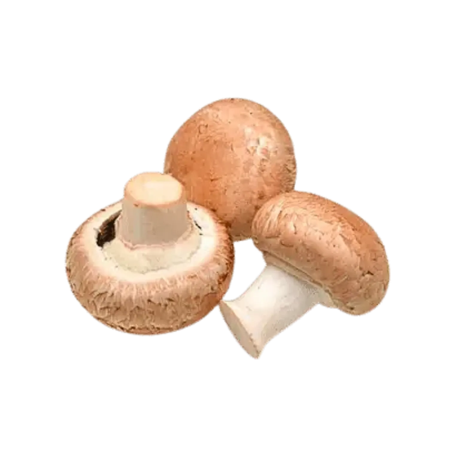 Champignons de paris brun - BIODIS - 250g