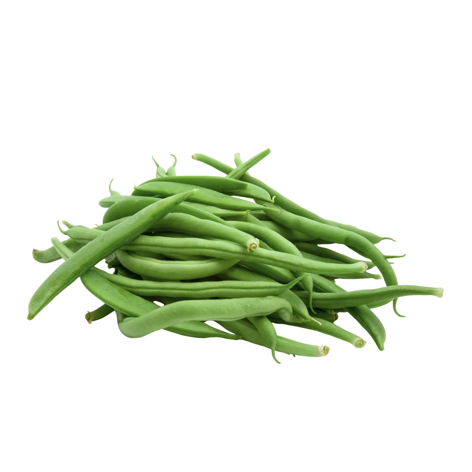 Haricots verts - BIODIS - 500g