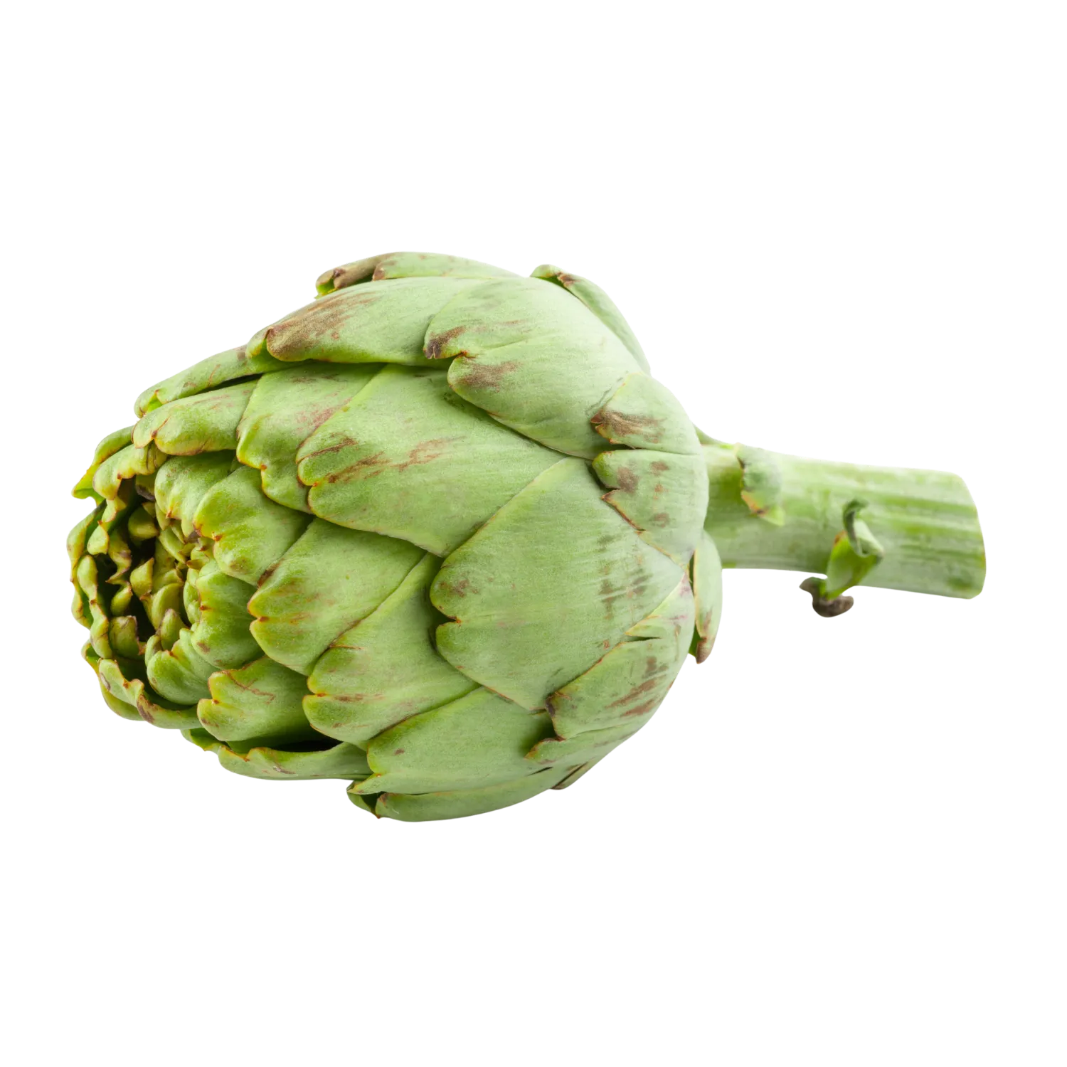 Artichaut - BIODIS - 1 pièce
