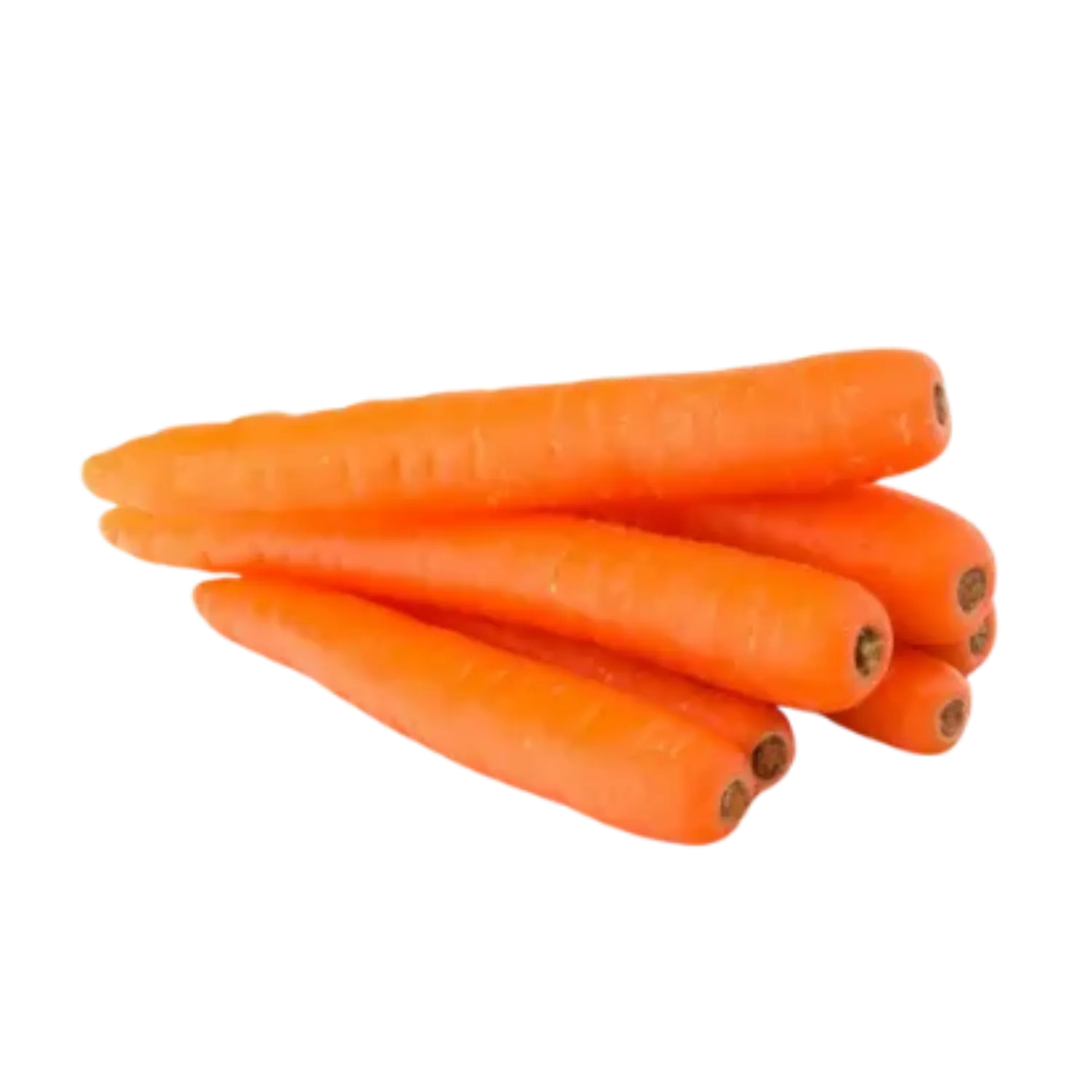 Carottes