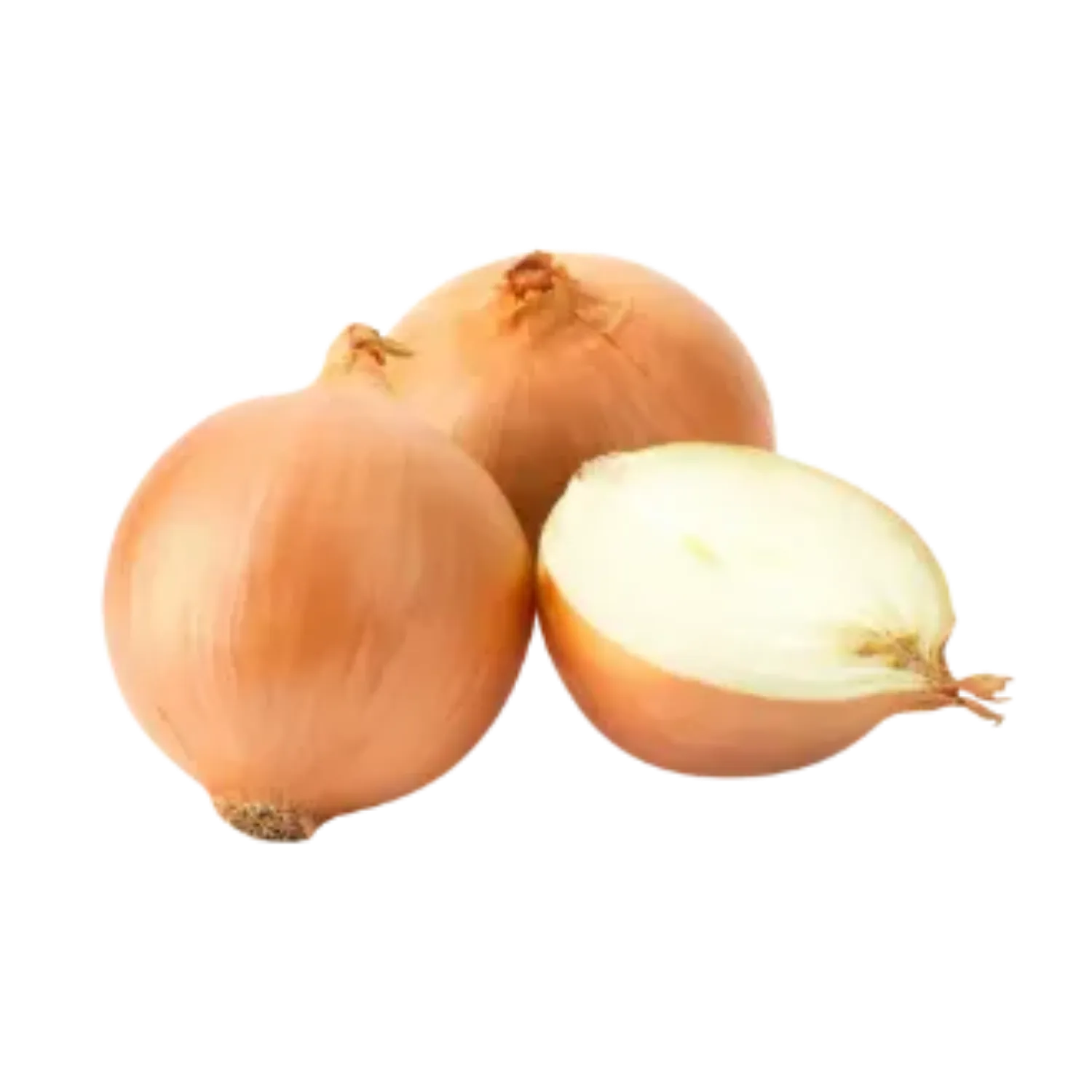 Oignons jaunes