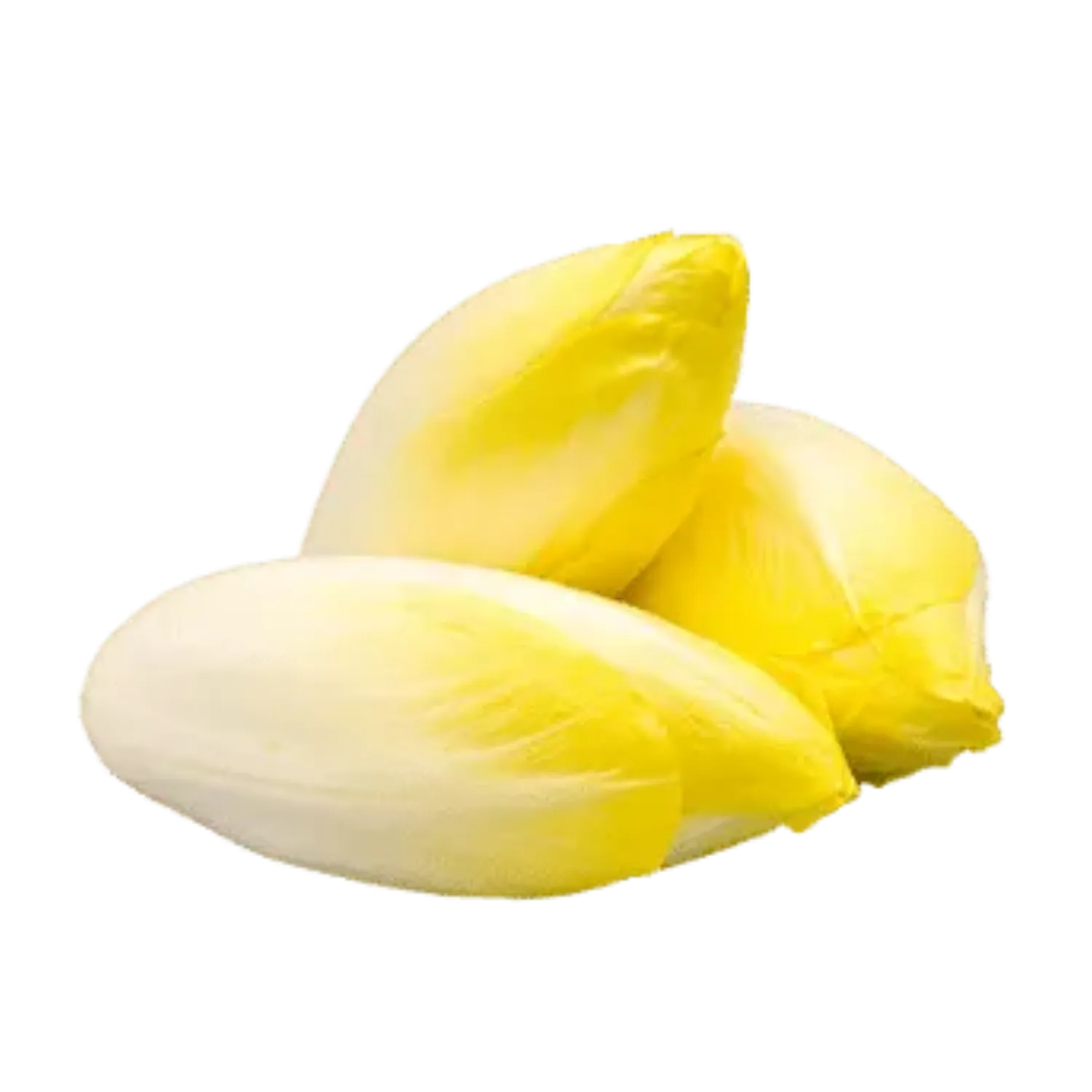 Endives