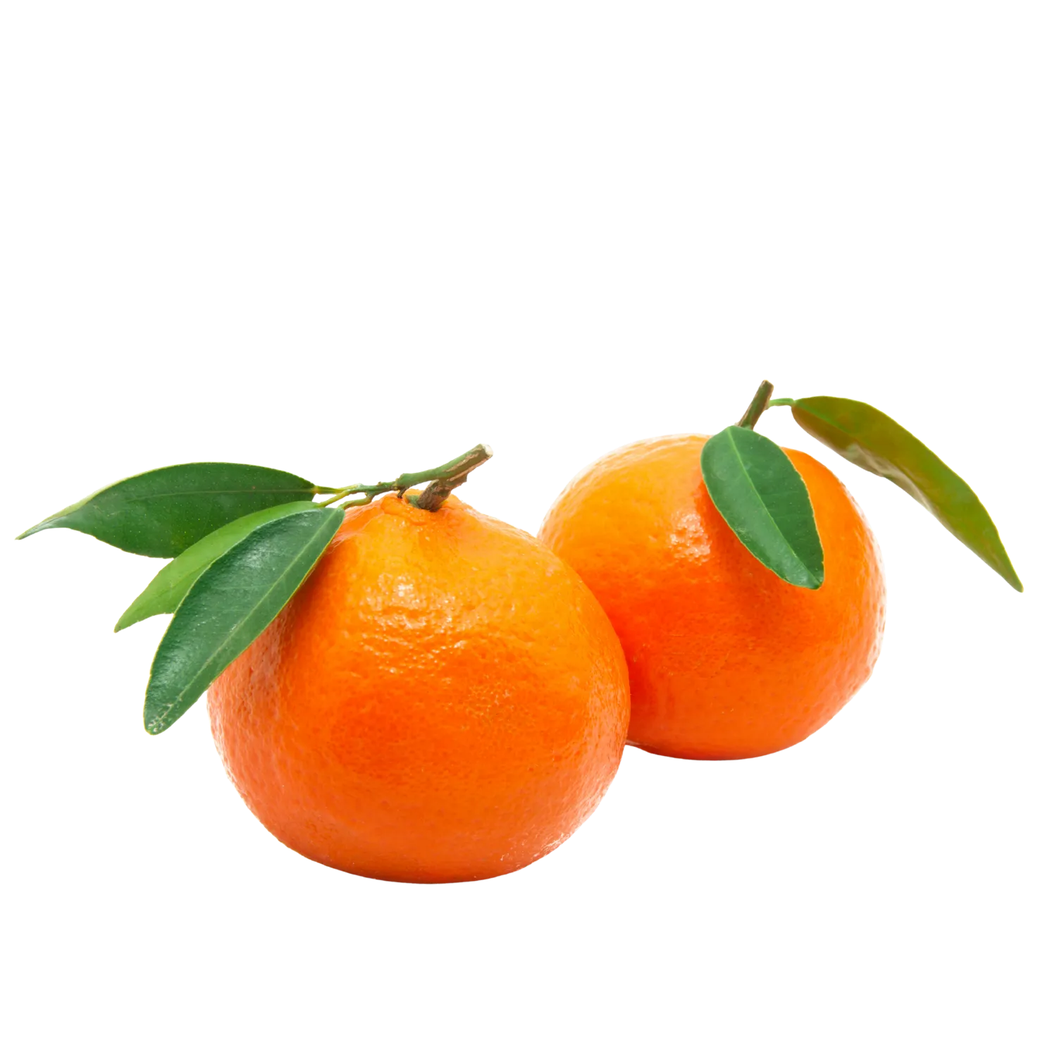 Mandarine