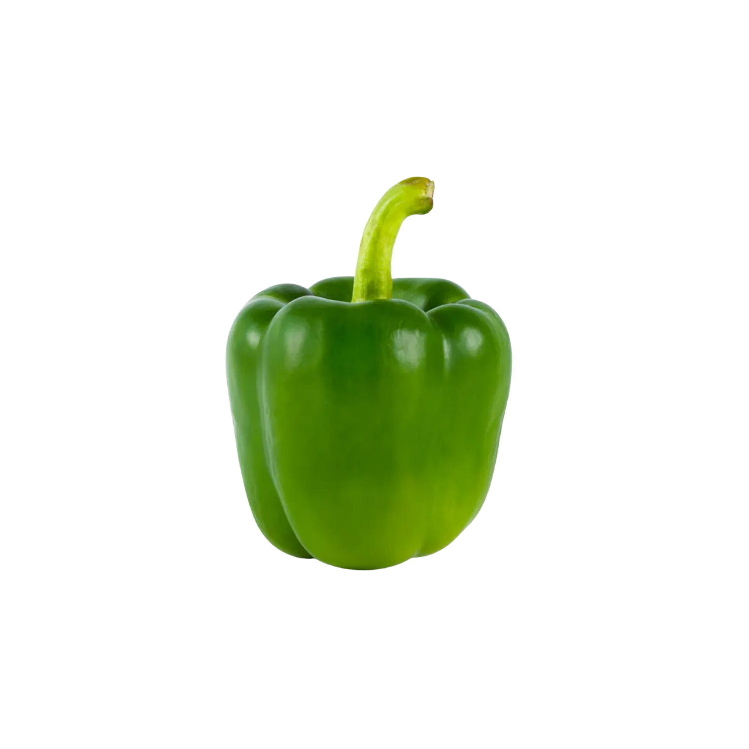 Poivron vert