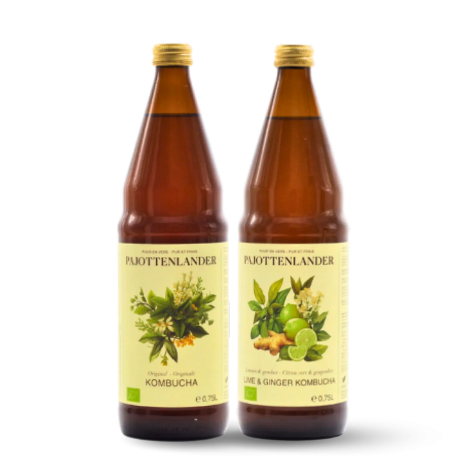 Pack Découverte Kombucha