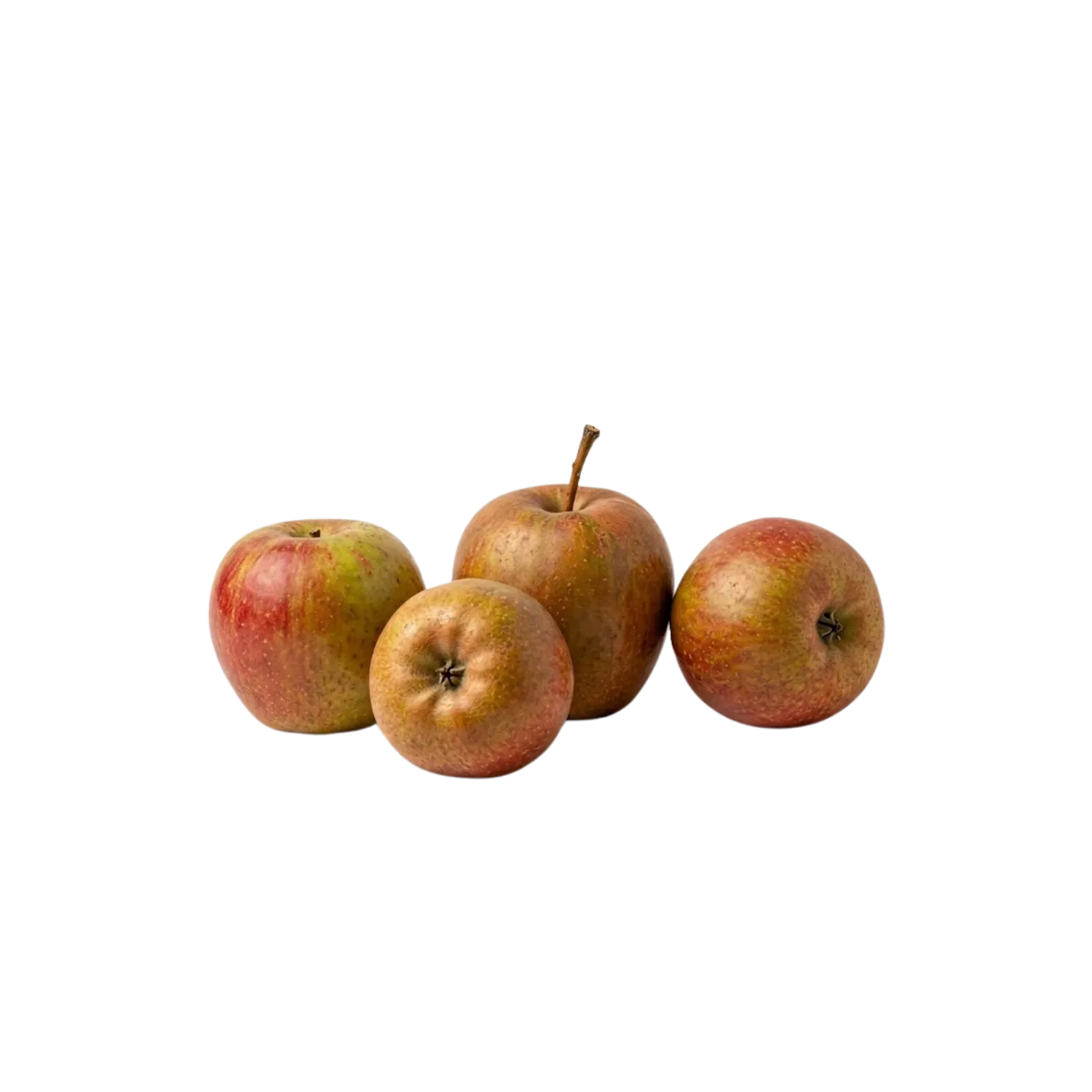 Pomme Boskoop