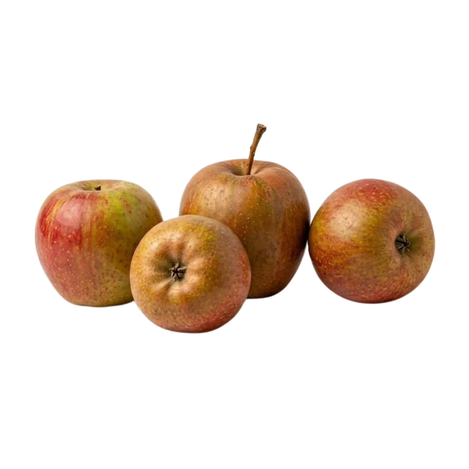 4 Pommes Boskoop