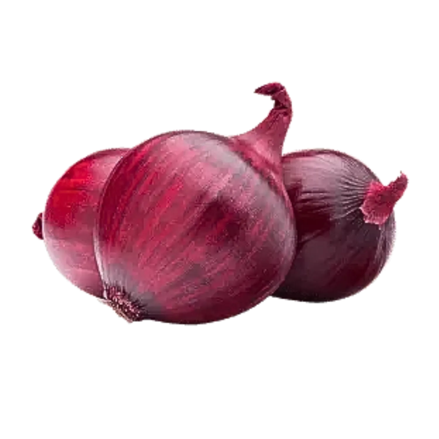 Oignon rouge