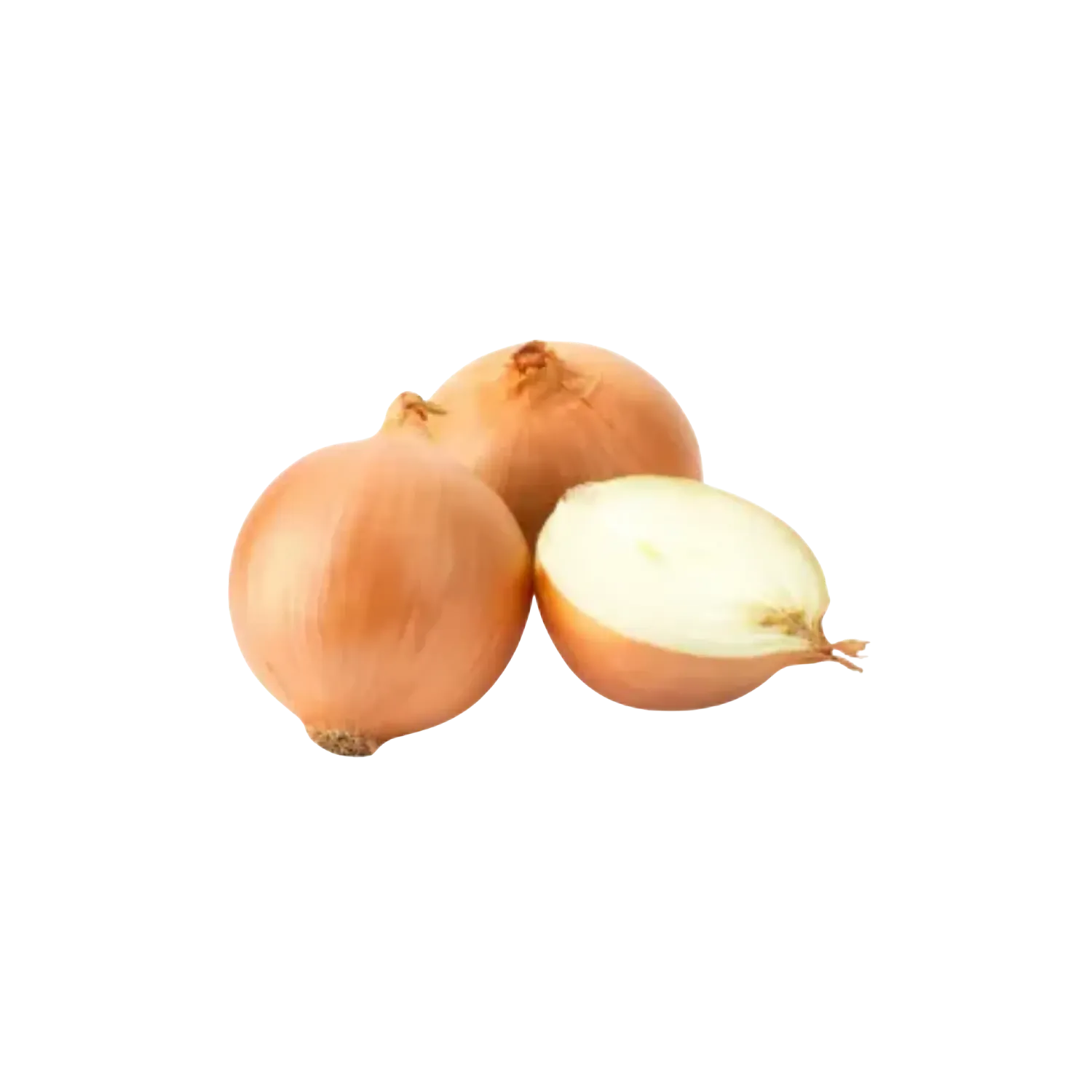 Oignon jaune
