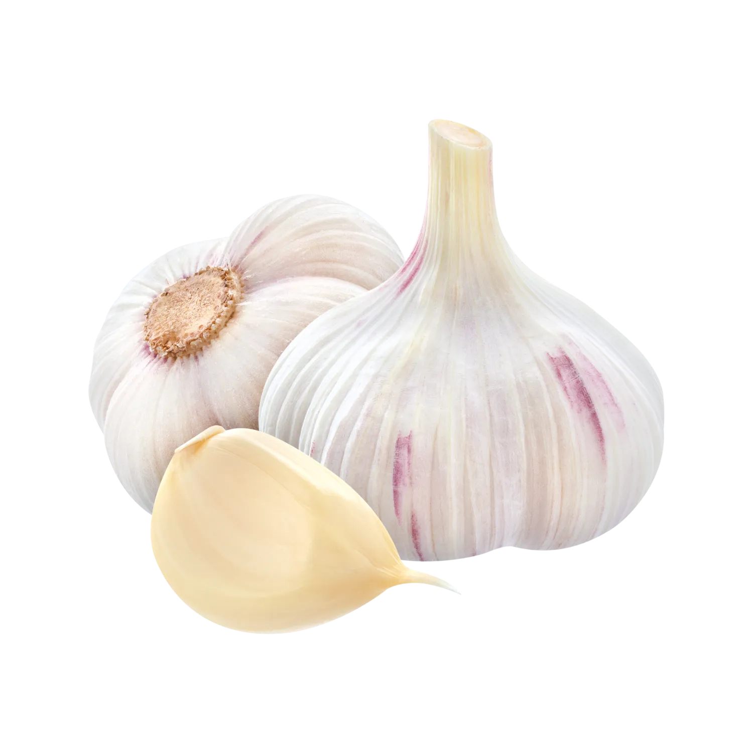 3 têtes d'ail blanc