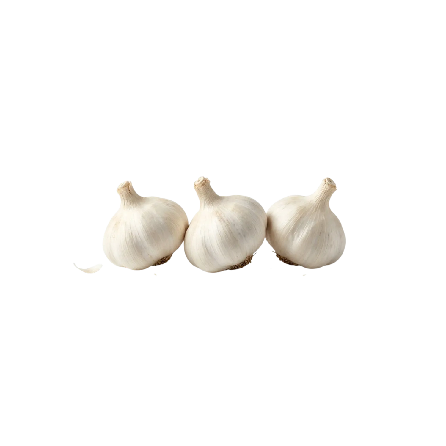 3 têtes d'ail blanc